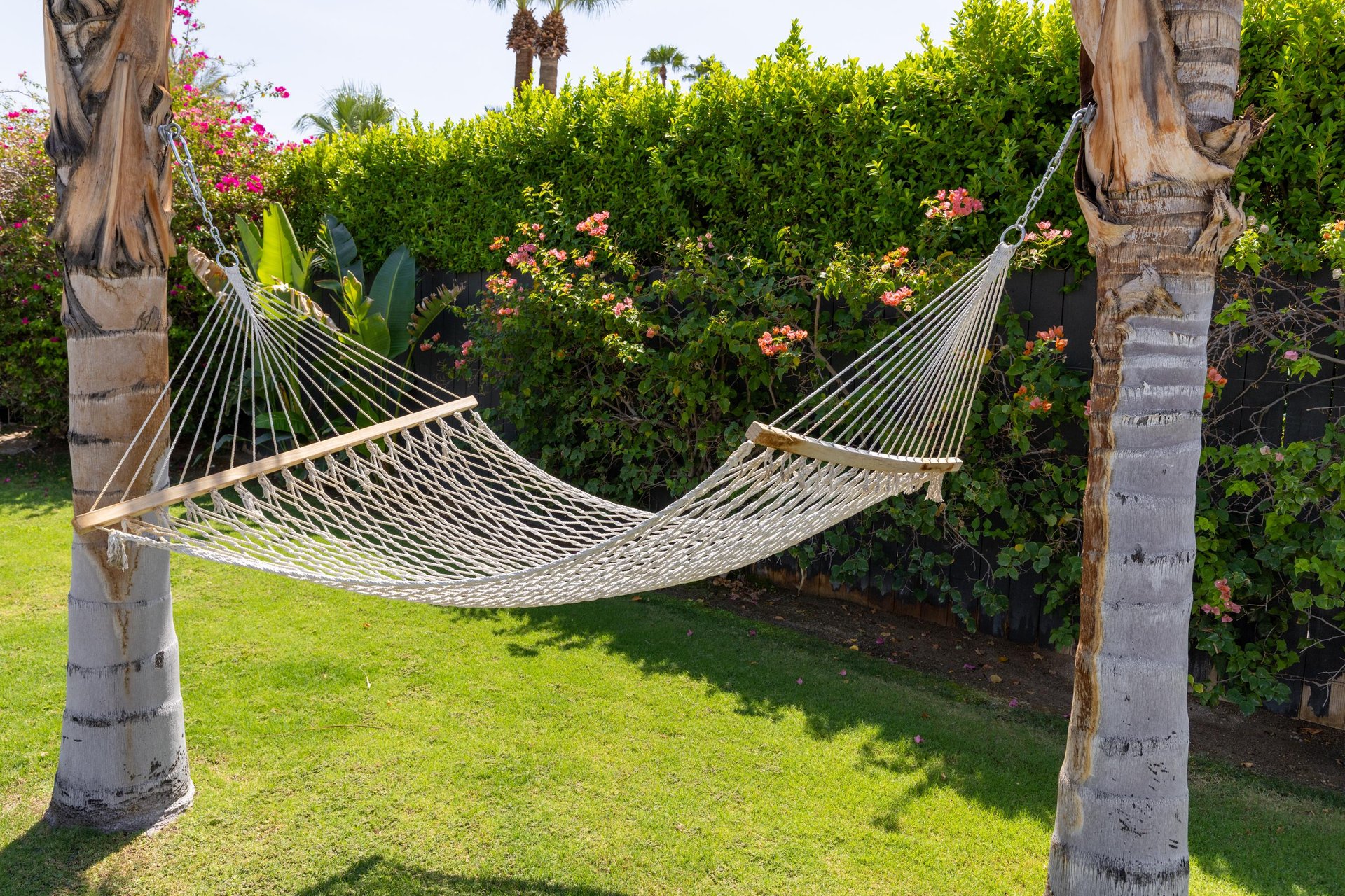 Relax in the Hammock