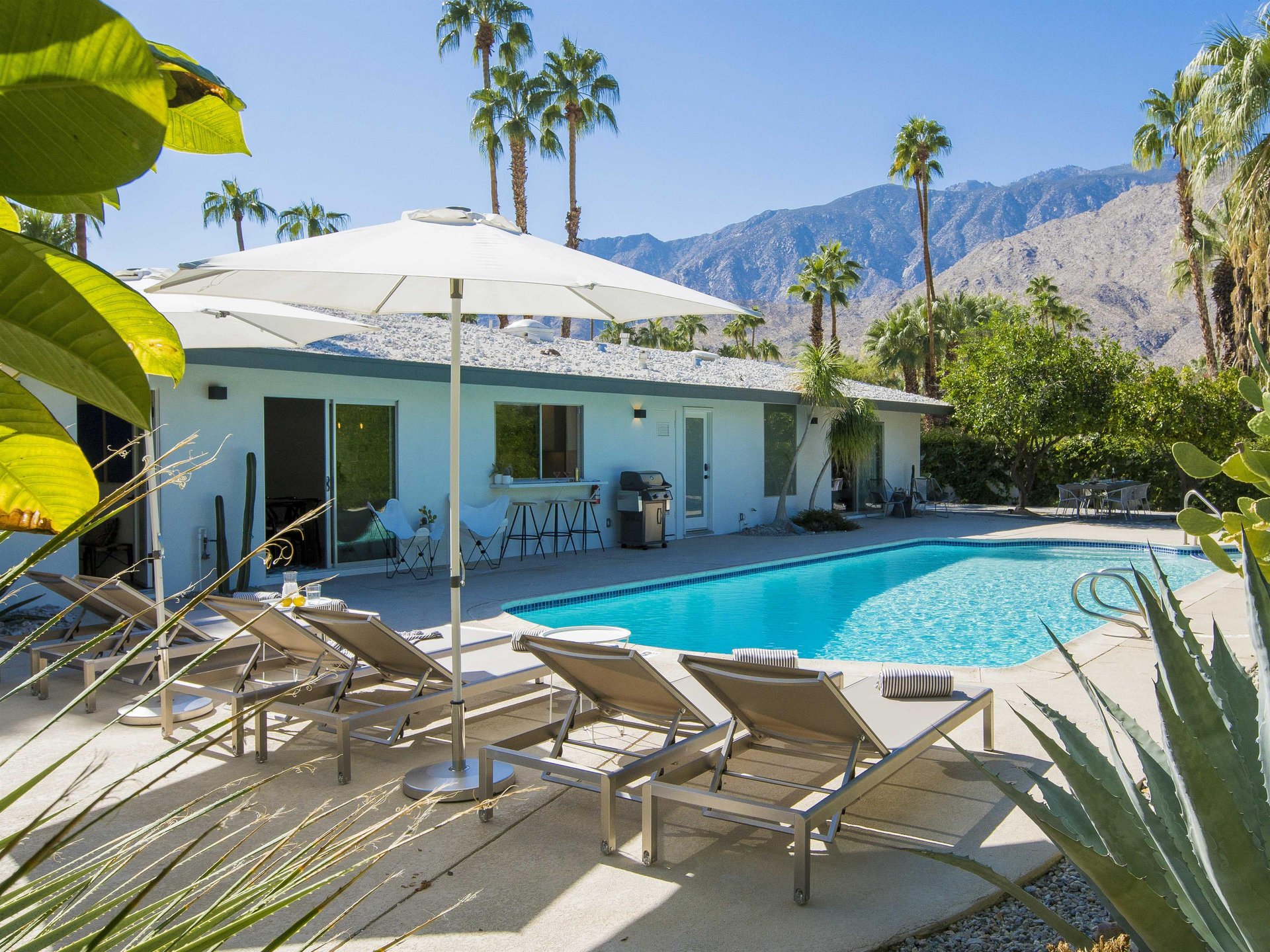 Early morning dip in the pool