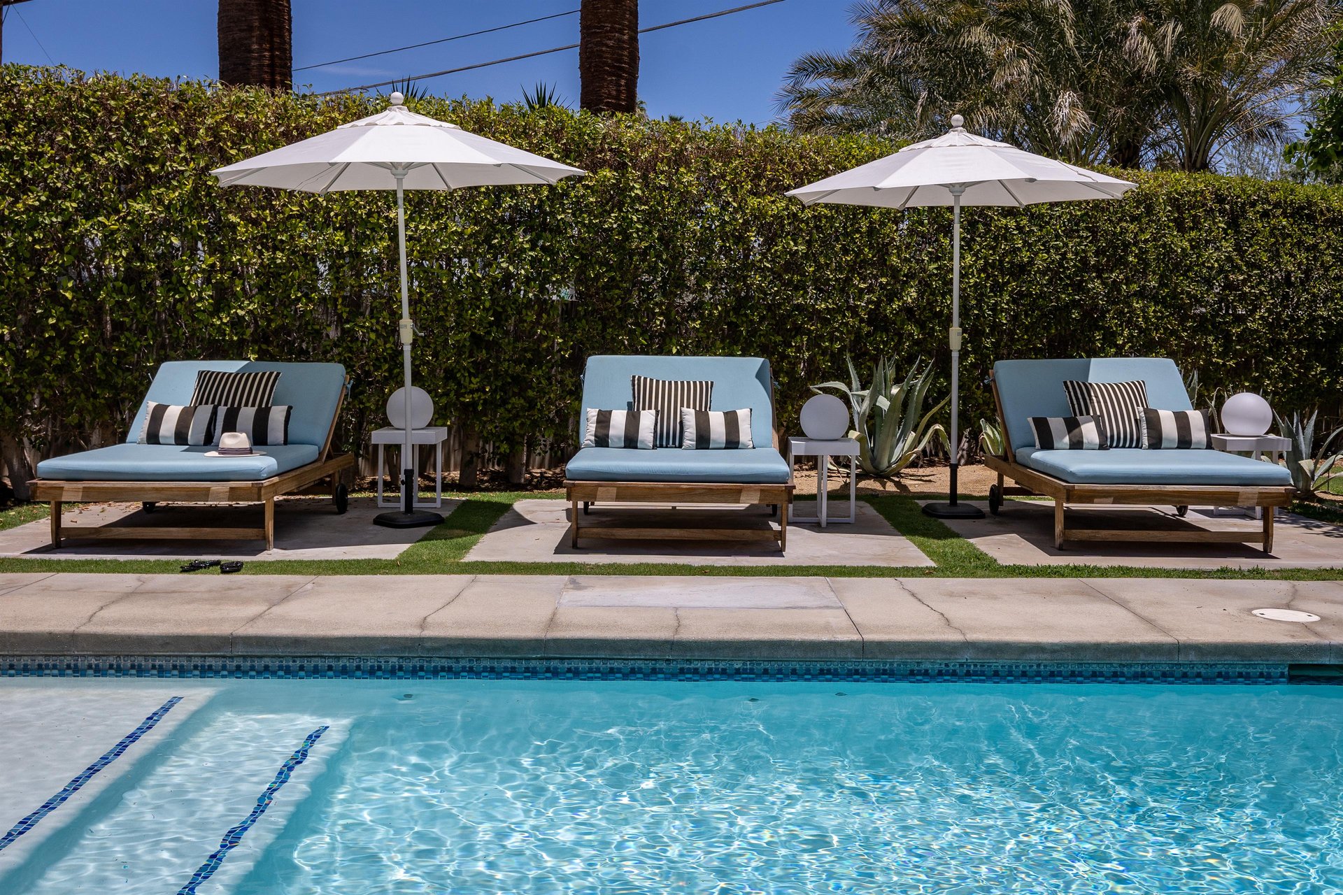 Gorgeous lounge chairs