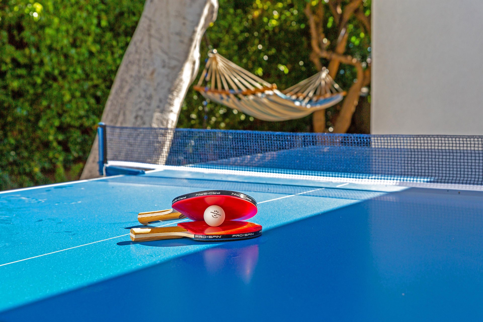 Ping Your Pong Right Here