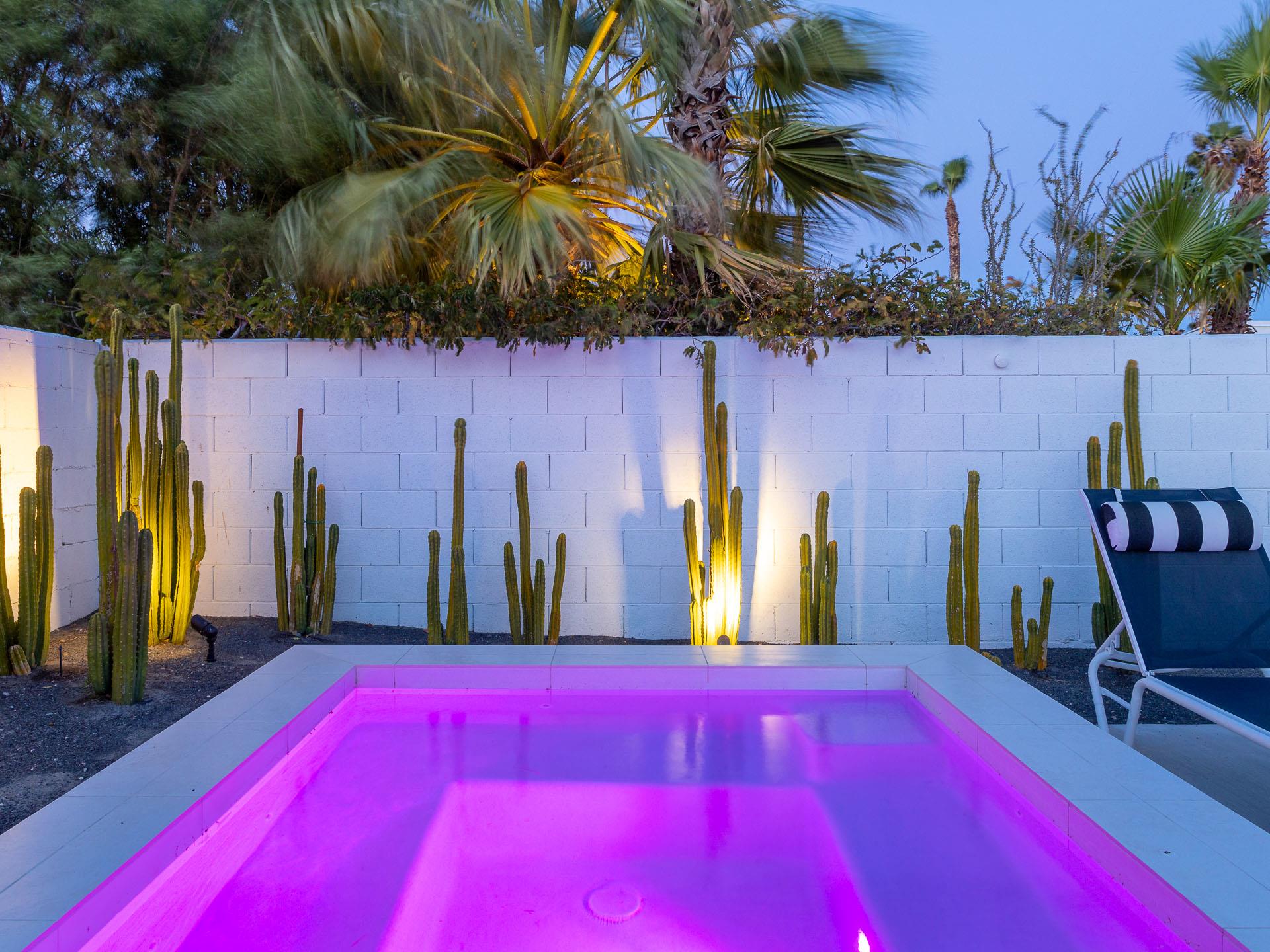 Lovely Evenings Under the Desert Skies