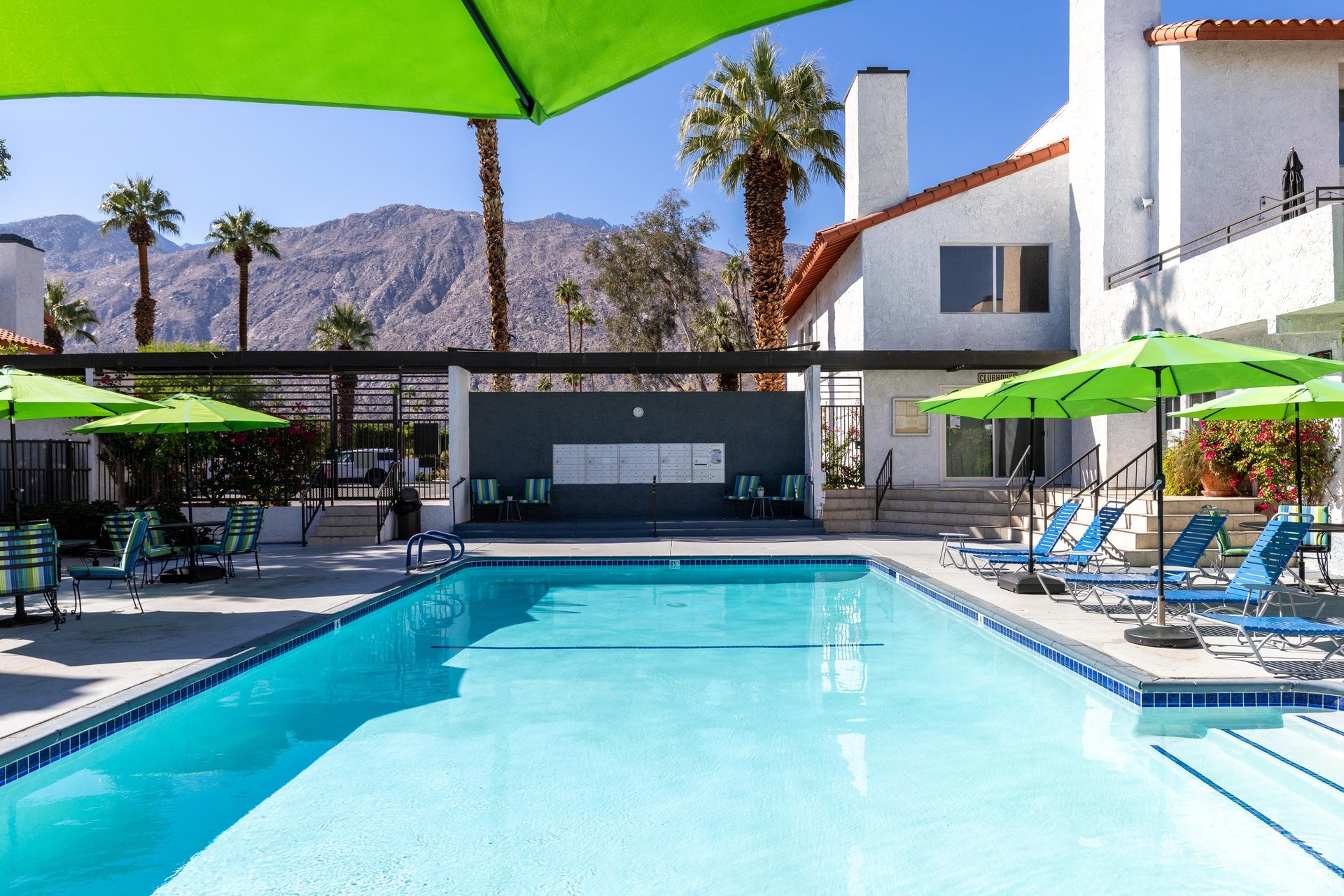 Time for a dip in the pool