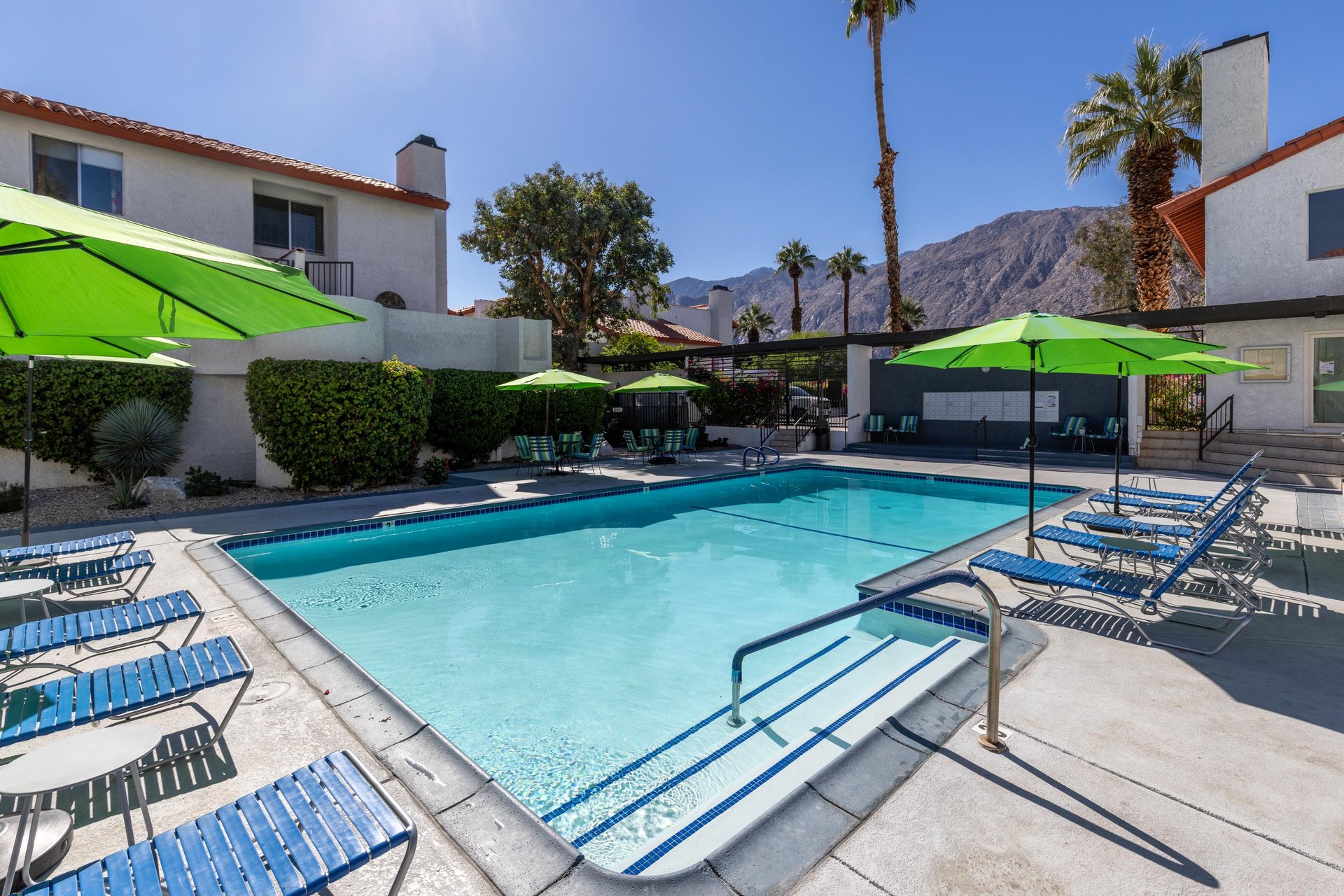 Time for an afternoon dip in the pool
