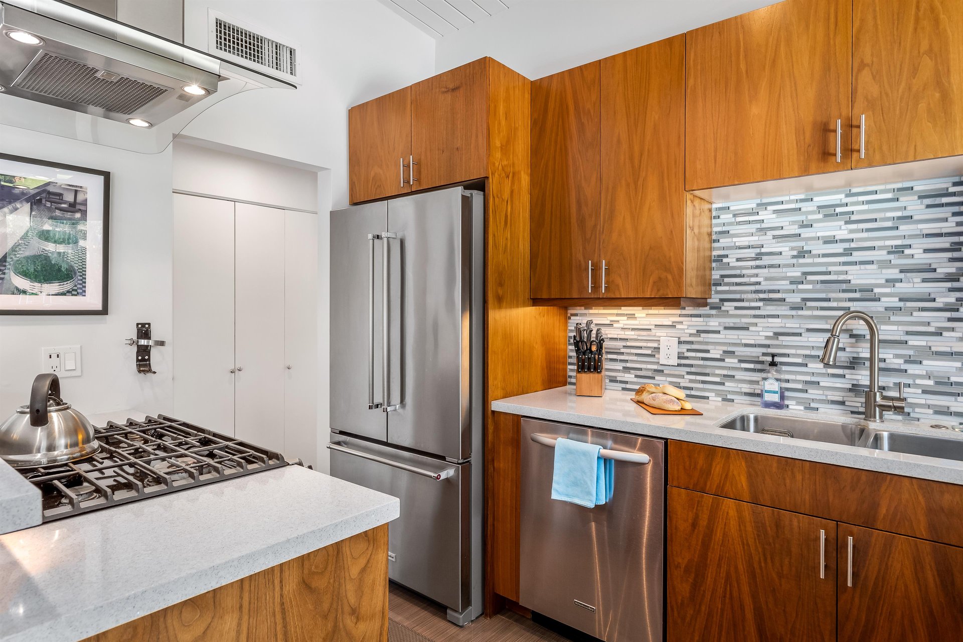 Stainless appliances