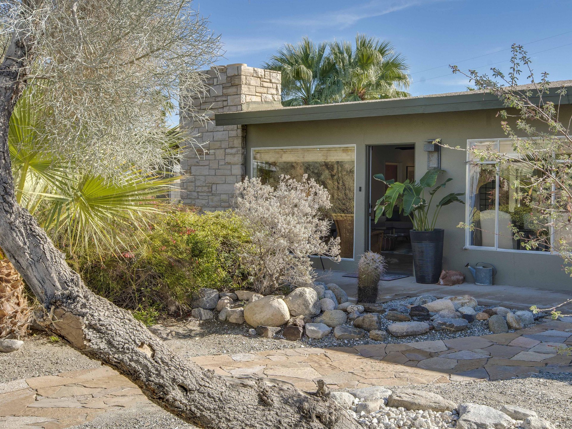 Welcome to Canary Palms