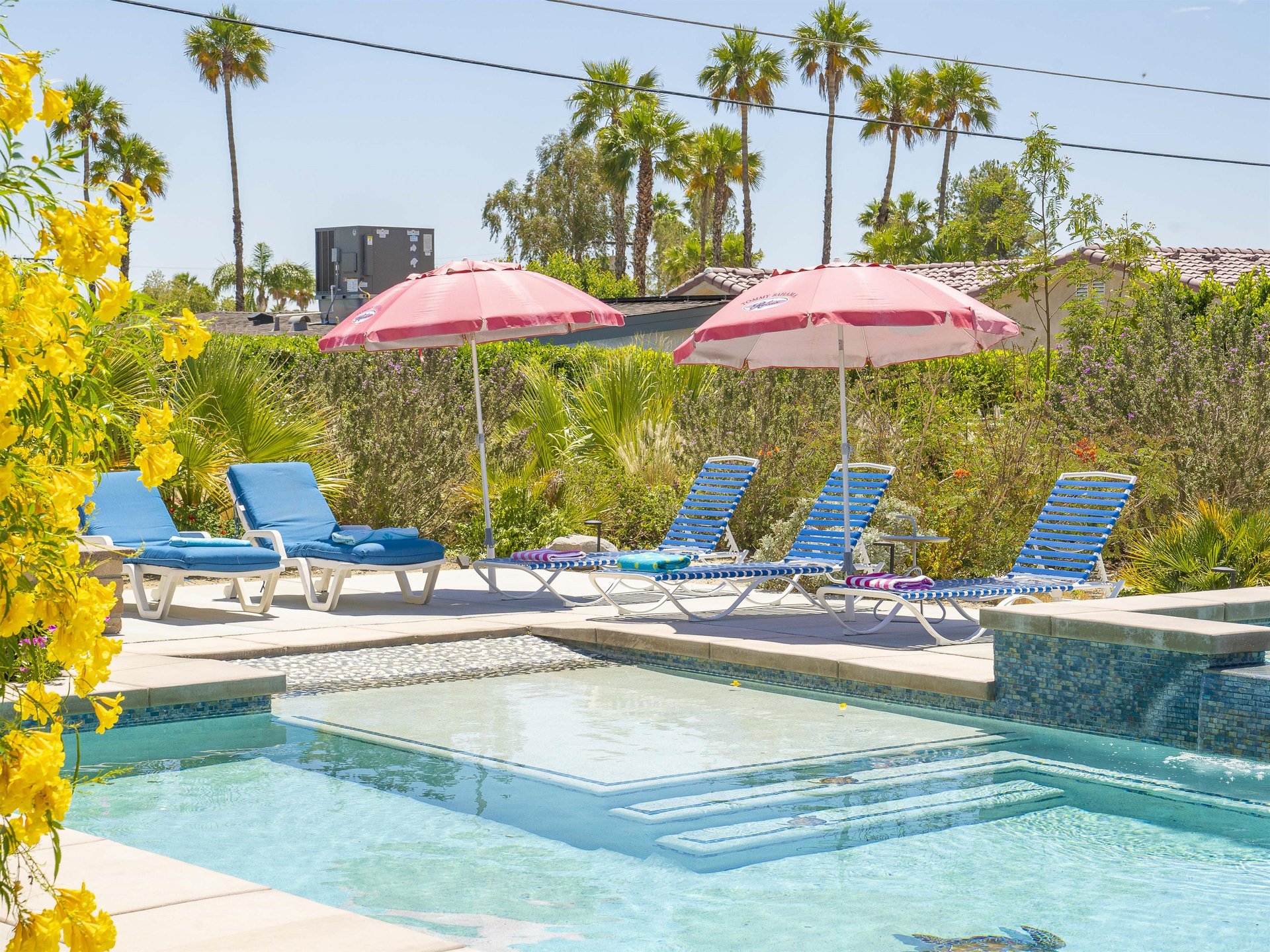 Soak up the Palm Springs sunshine