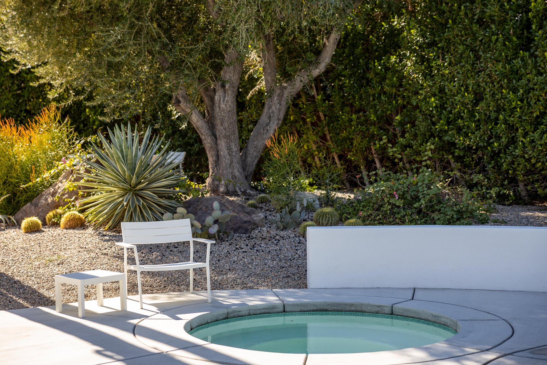 Tranquil desert garden