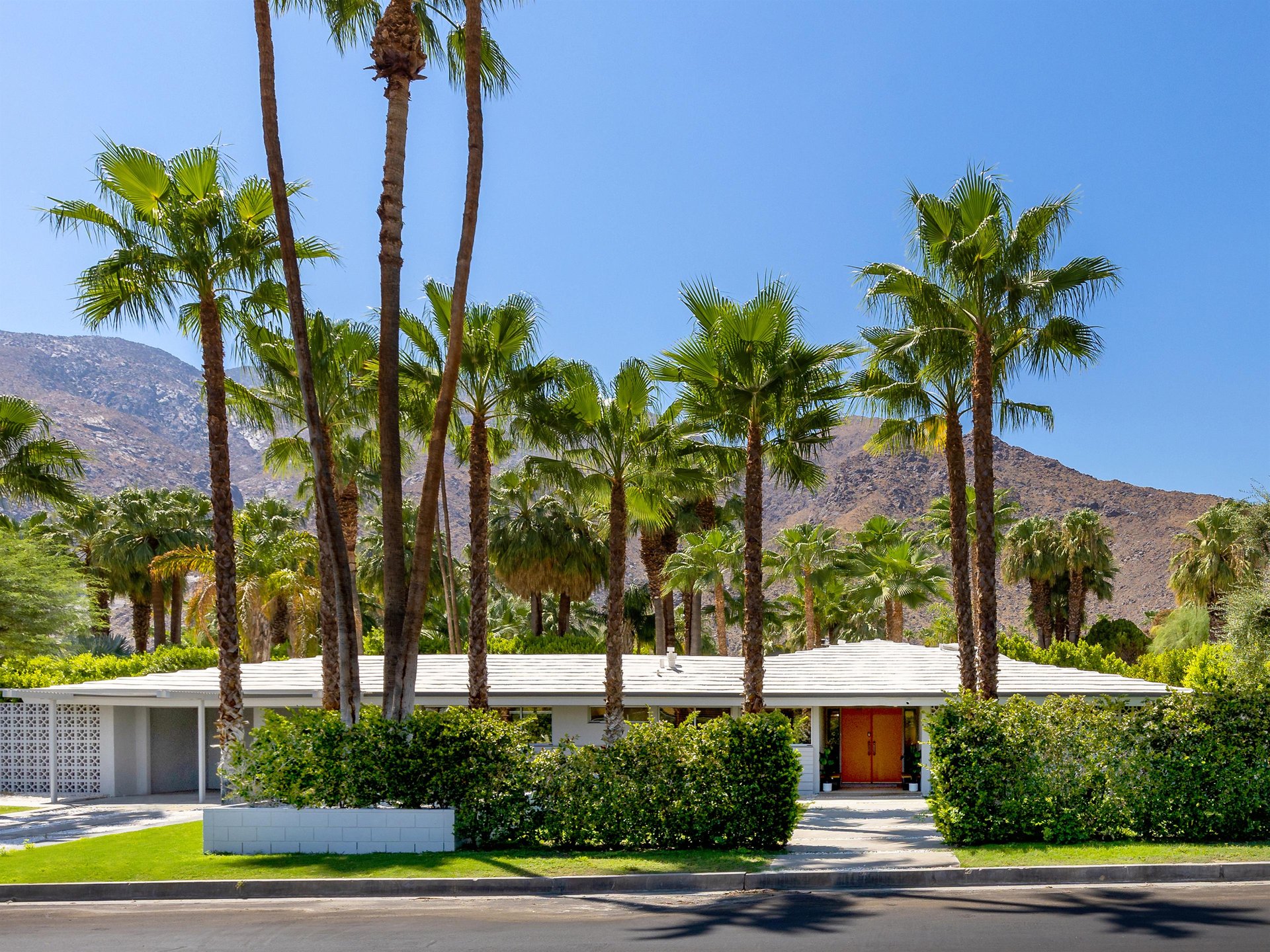 Welcome to Palm Grove