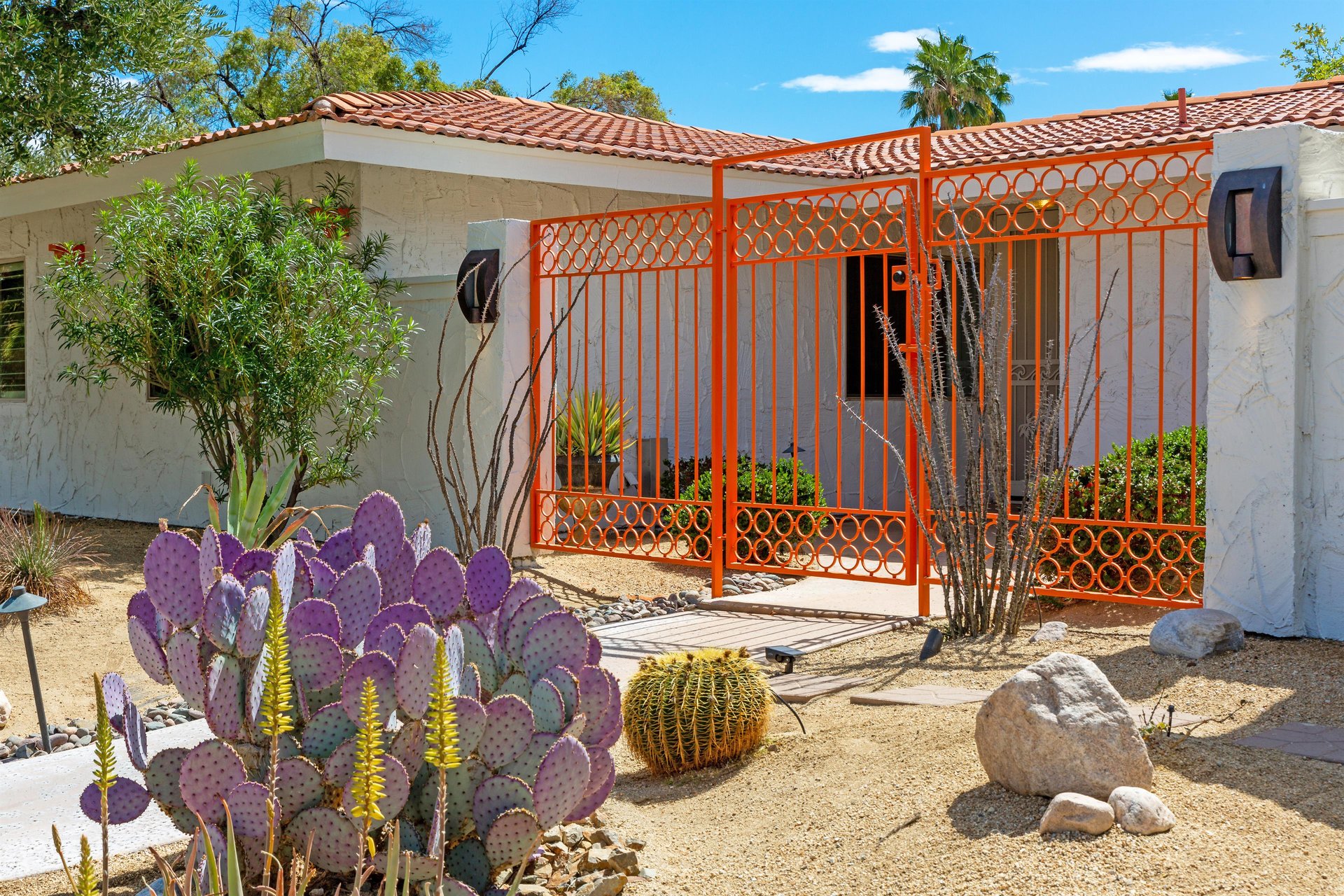 Gorgeous desert landscaping
