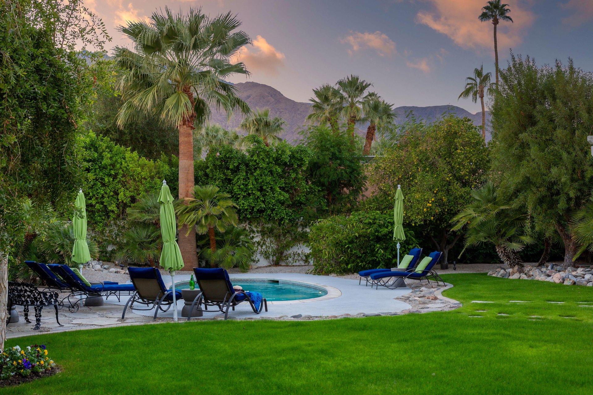 Beautiful desert sunsets