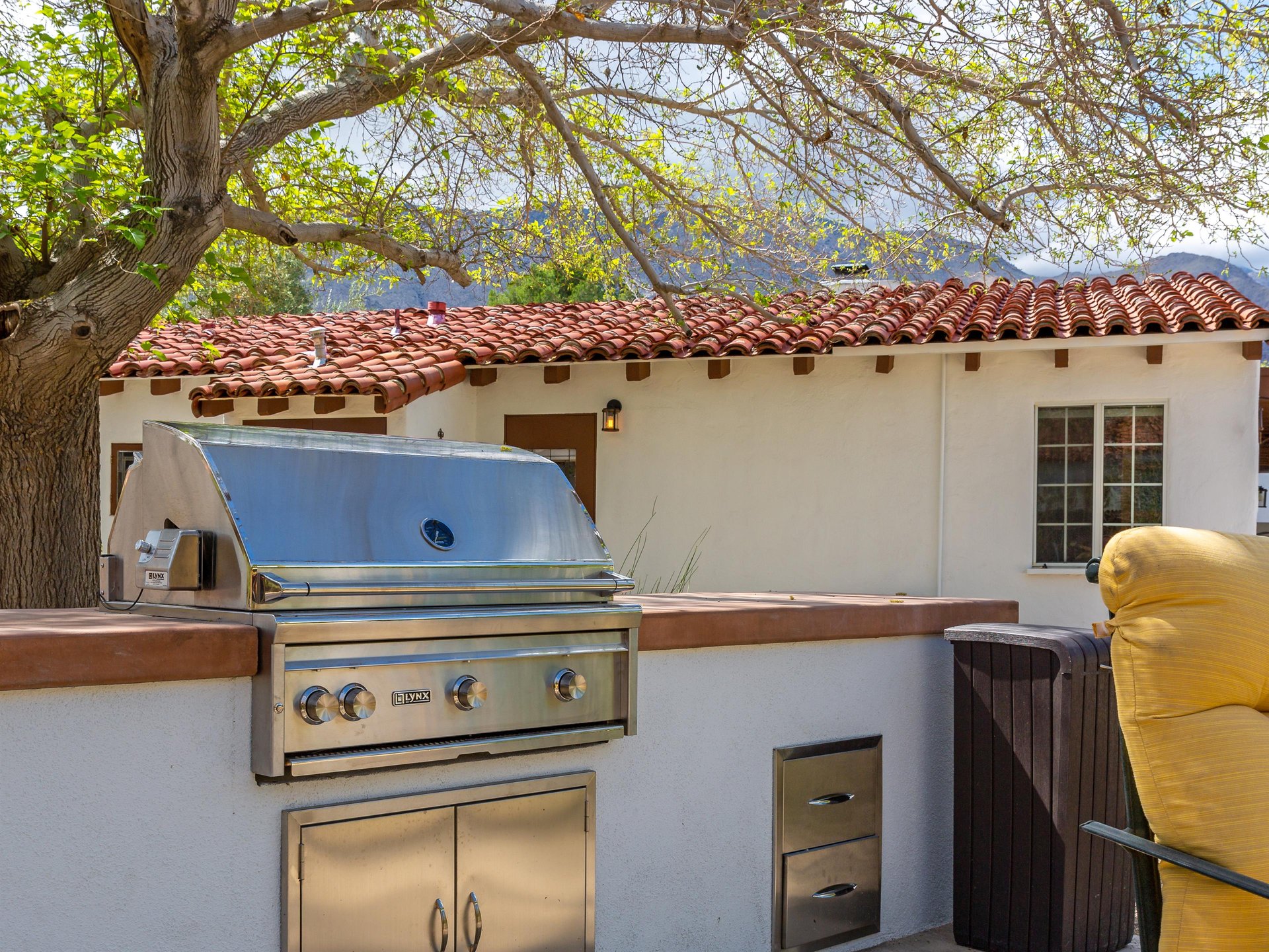 Grill up a delicious BBQ