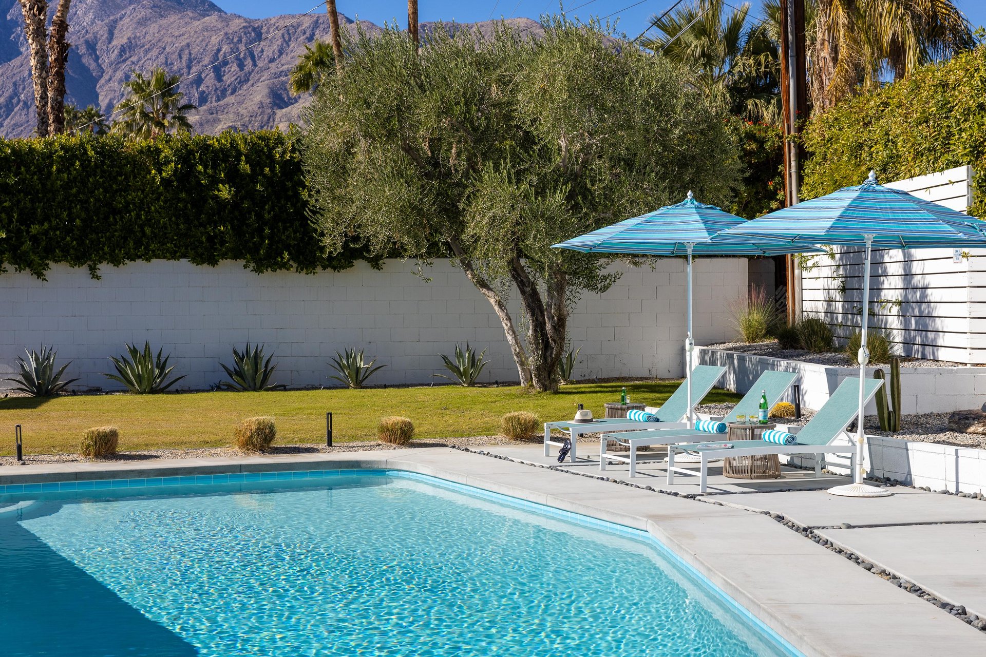 Dive into the sparkling waters