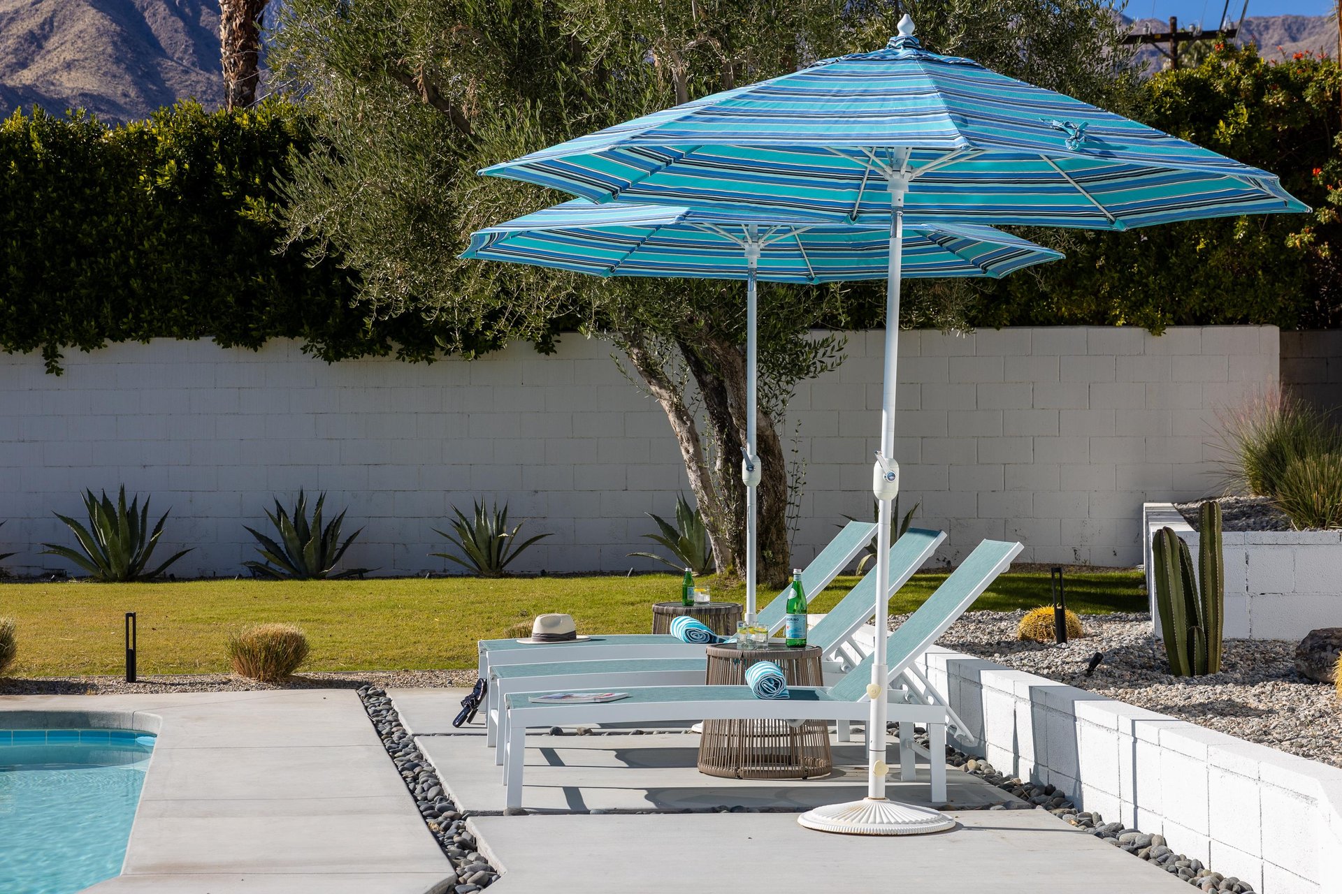 Bask in the warm sunshine