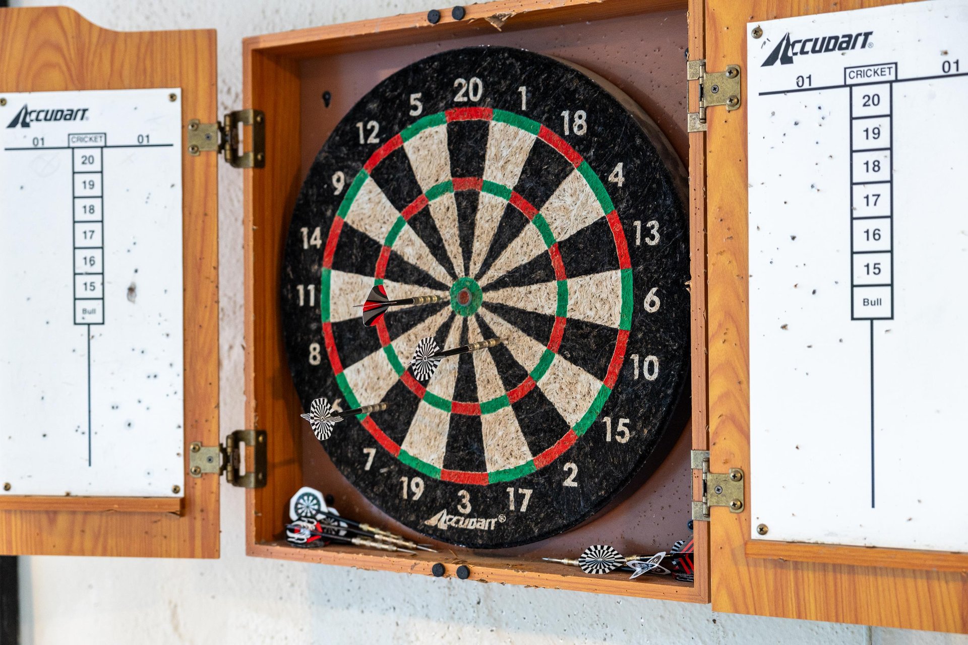 Play a game of darts