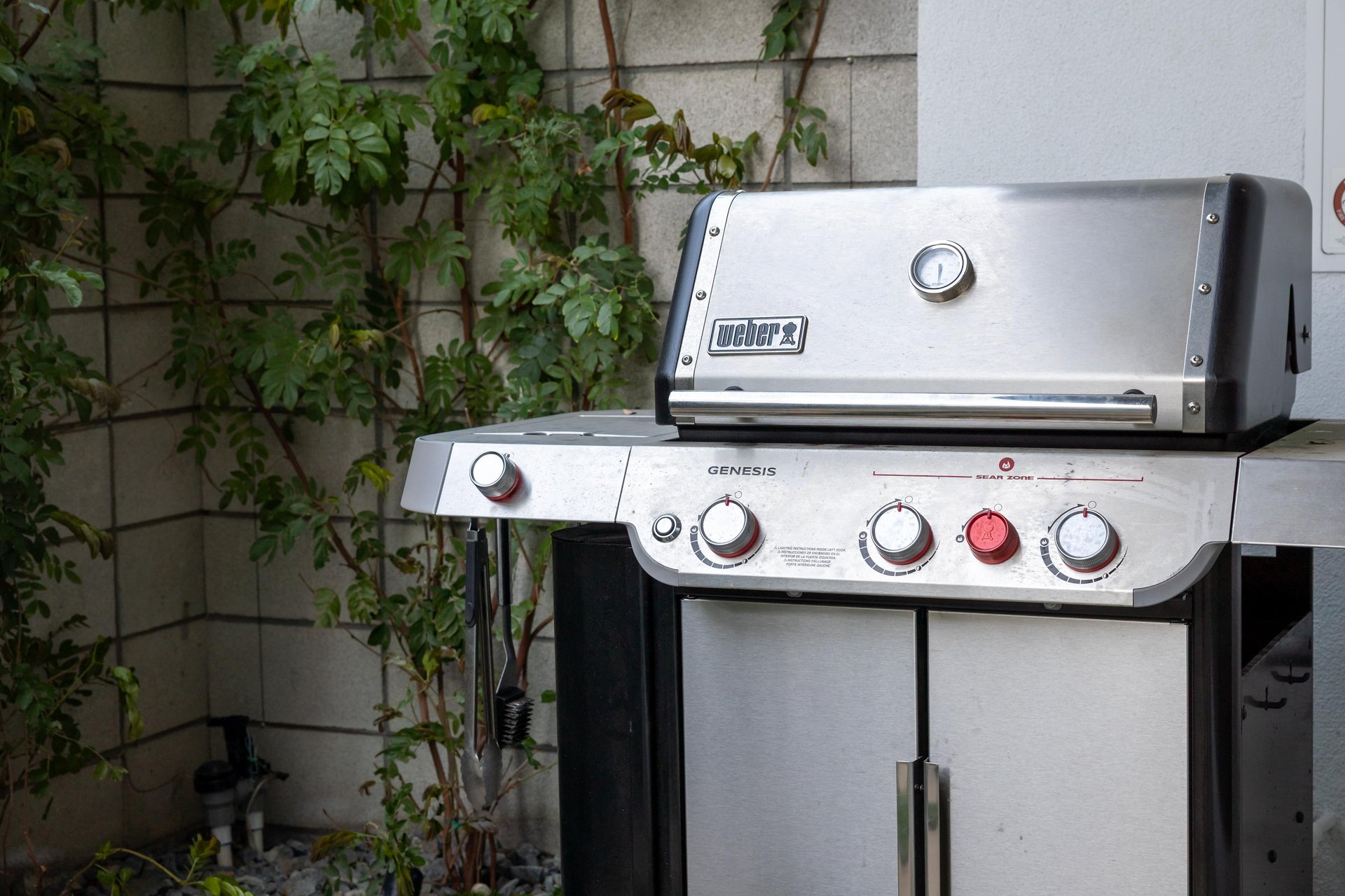 Fire up your culinary adventure