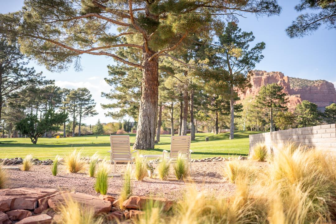 More Seating In Back Yard