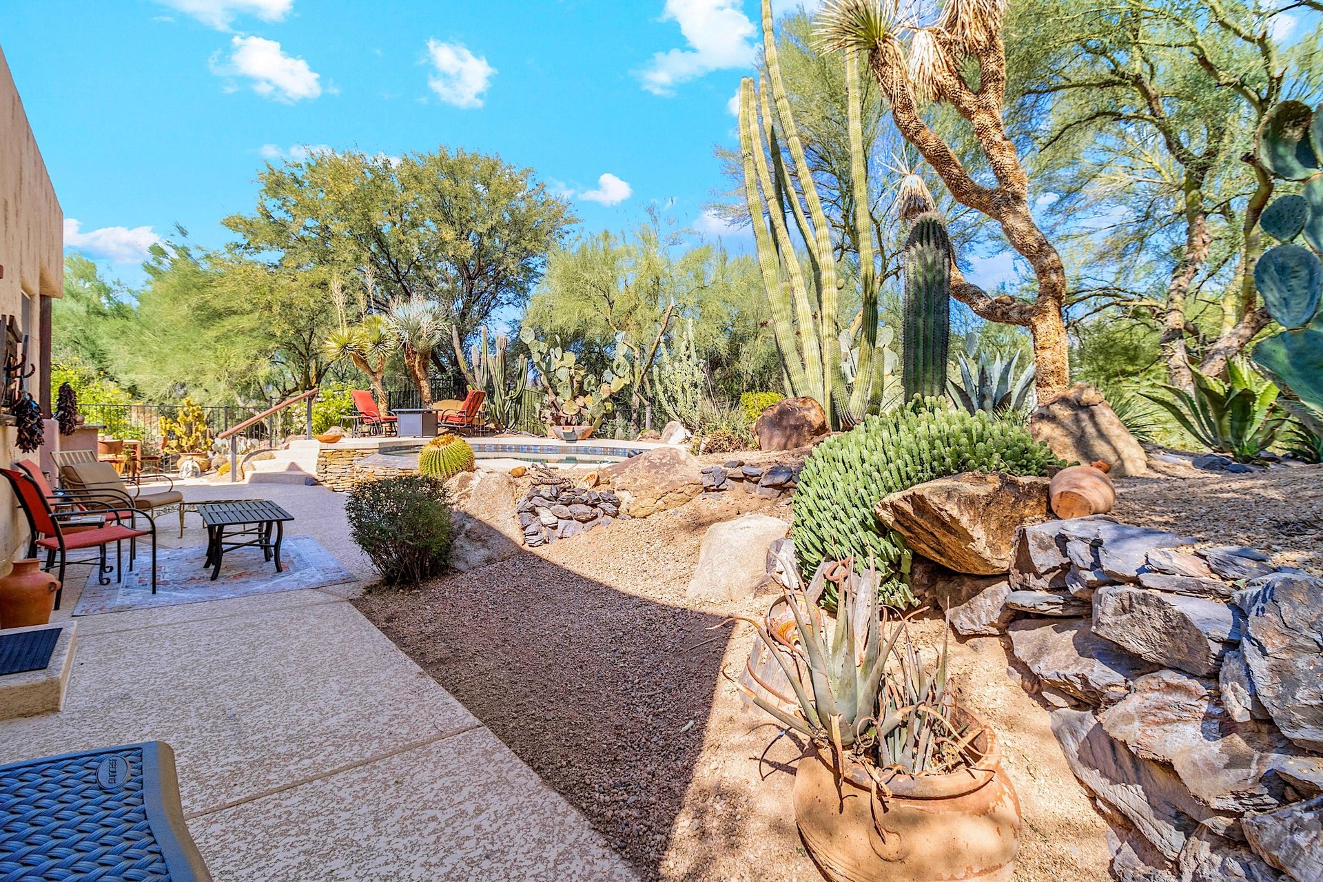 Desert landscape throughout