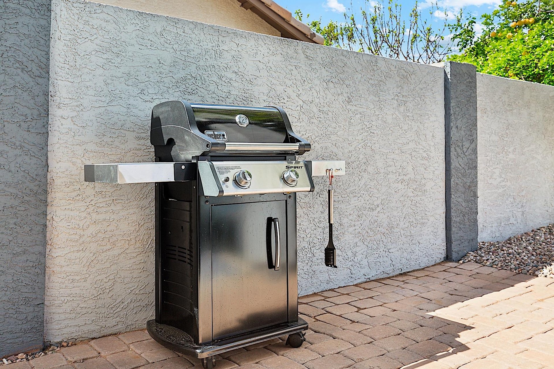 Propane BBQ Grill