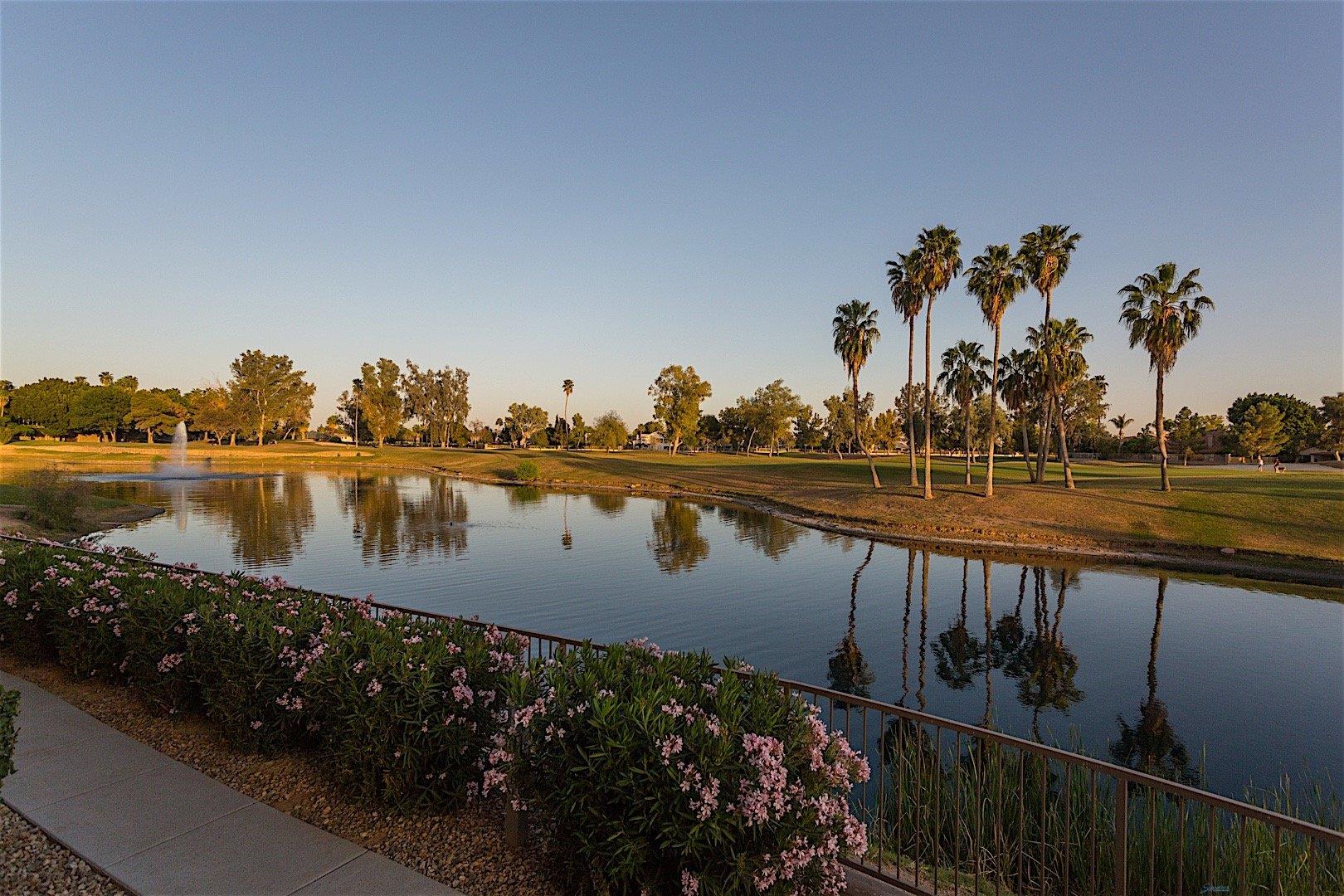 You Will Not Get Enough of This View