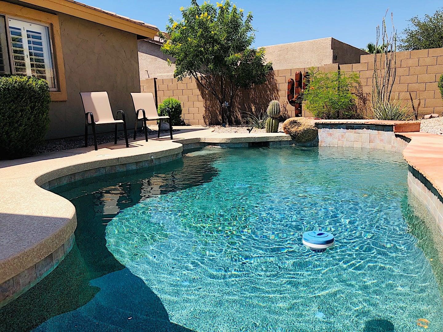 Everyone in for a dip