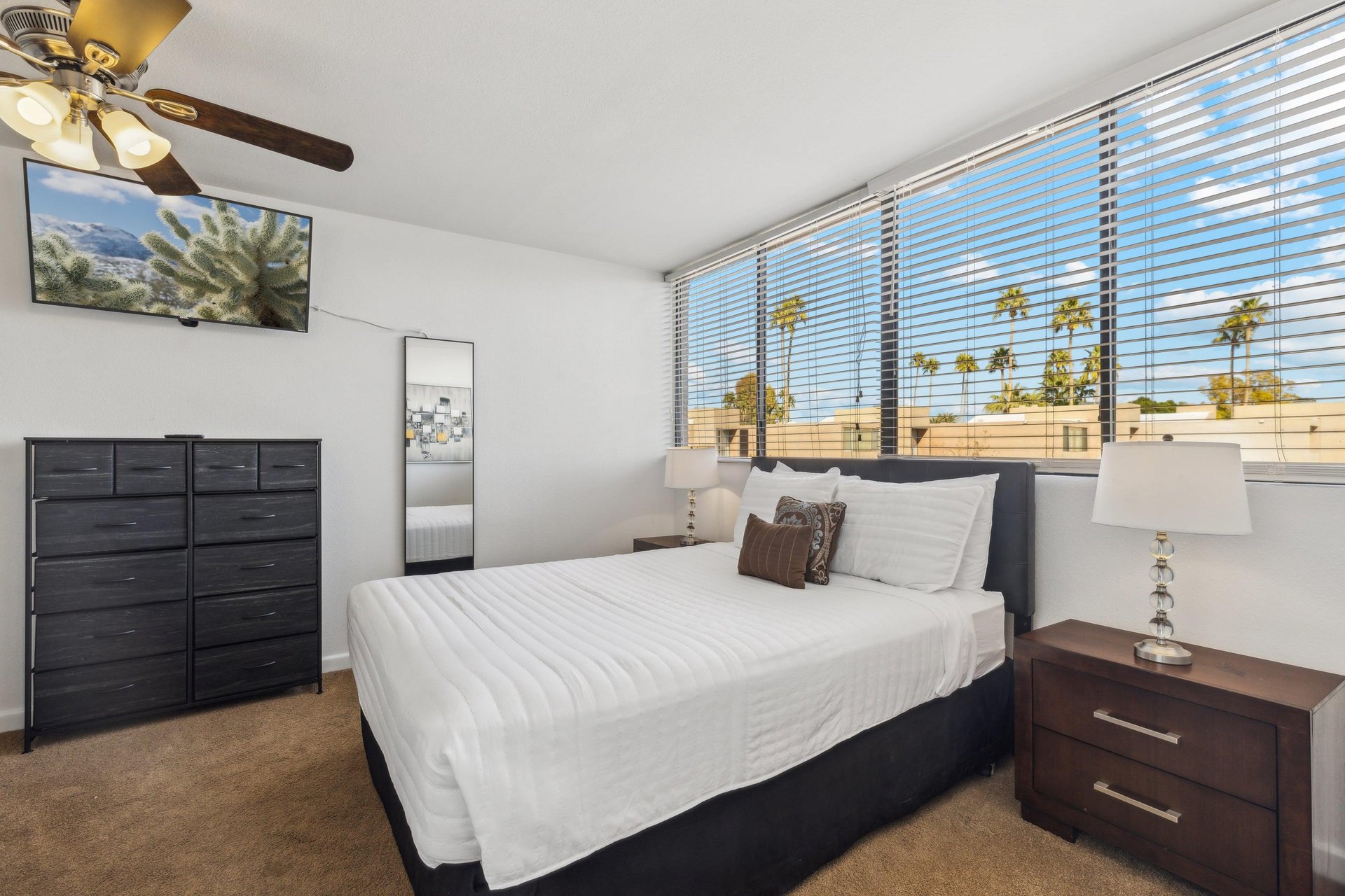 Windows, Windows, Windows So much natural light