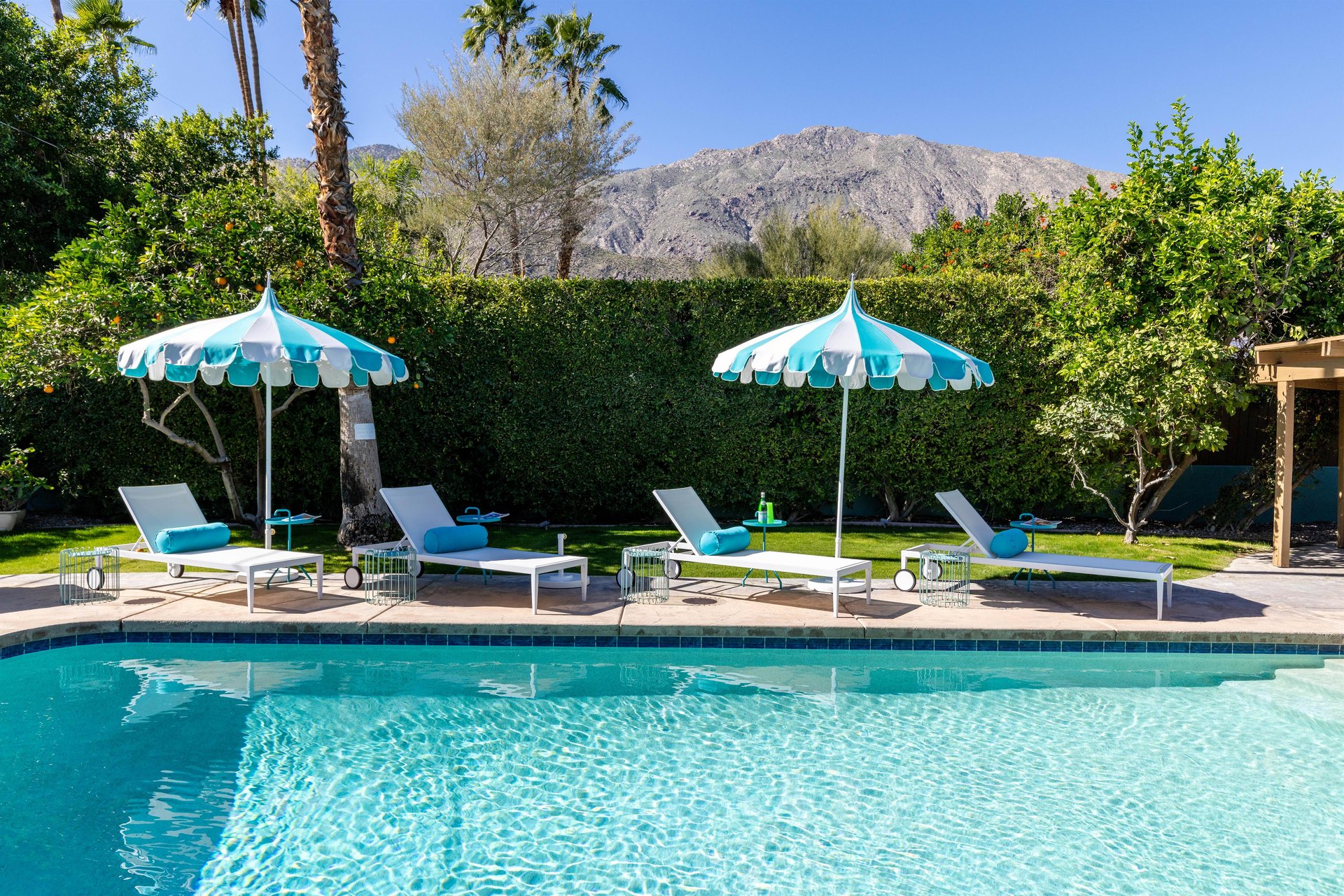 Laisse Lounge chairs for days