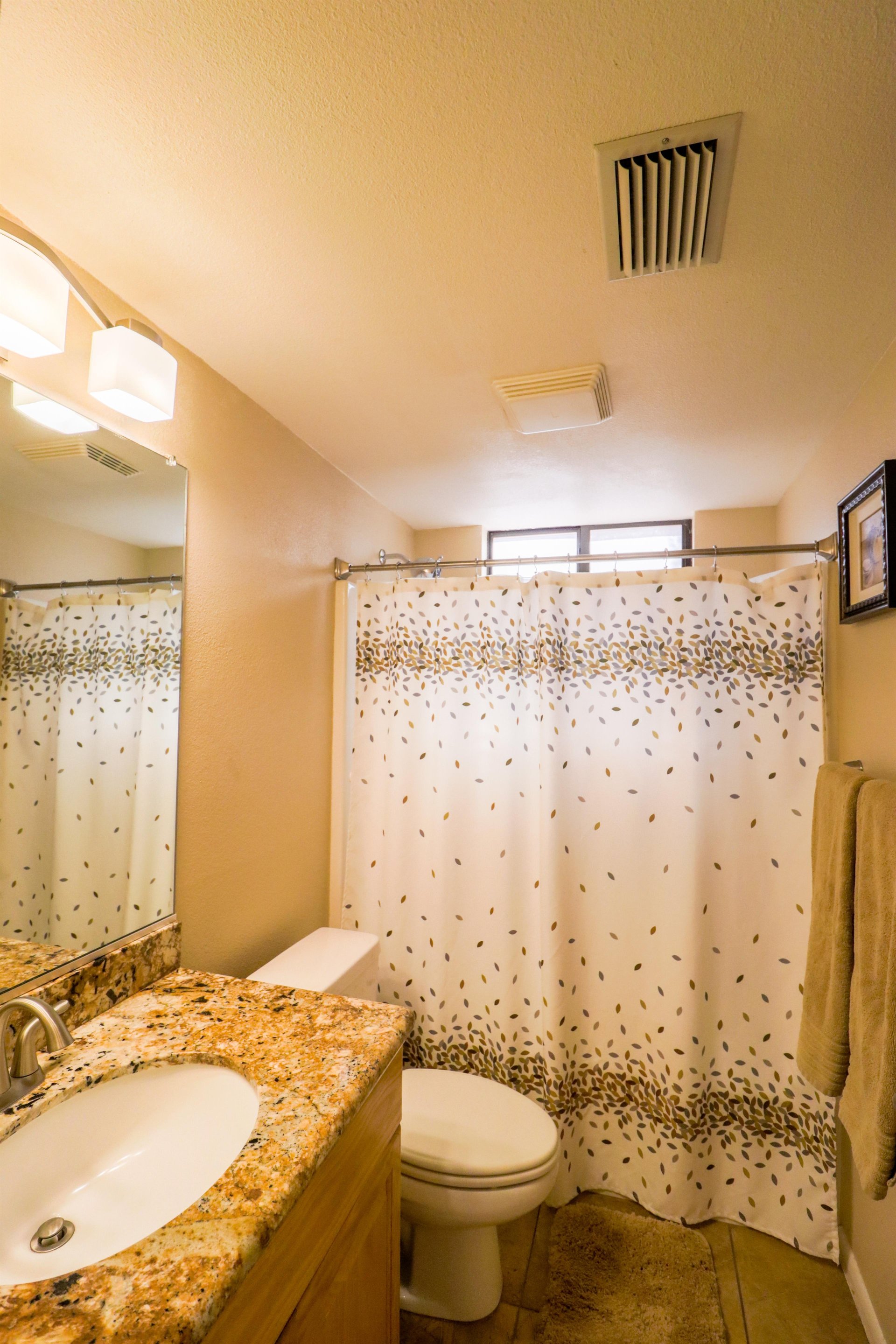 Hall Bathroom