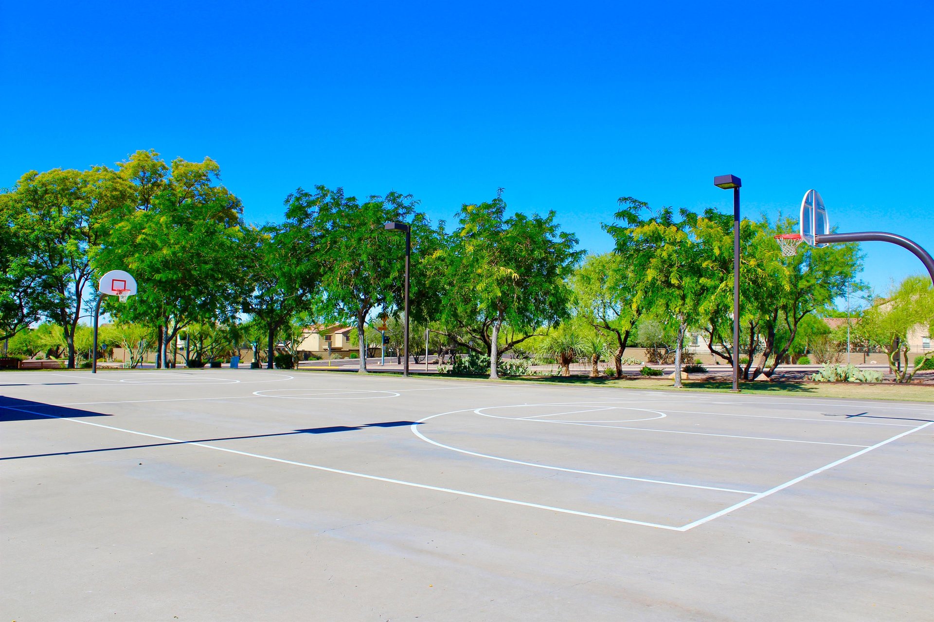 Tons of basketball courts