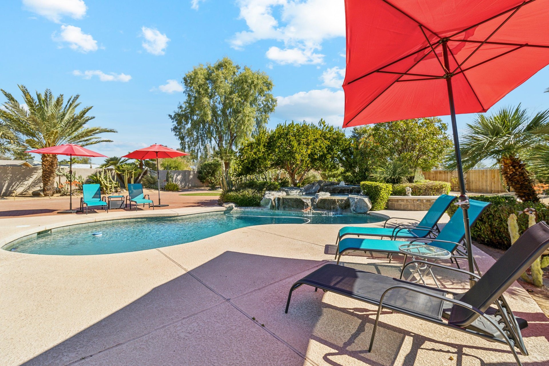 Plenty of poolside loungers