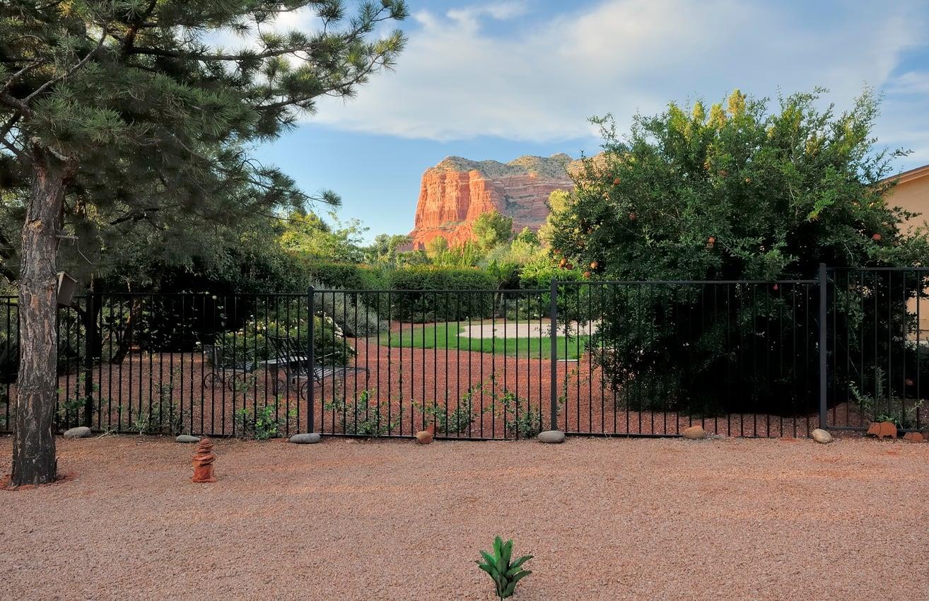 Views from the back yard