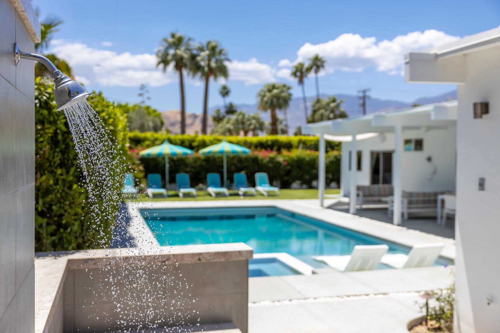 Gorgeous backyard