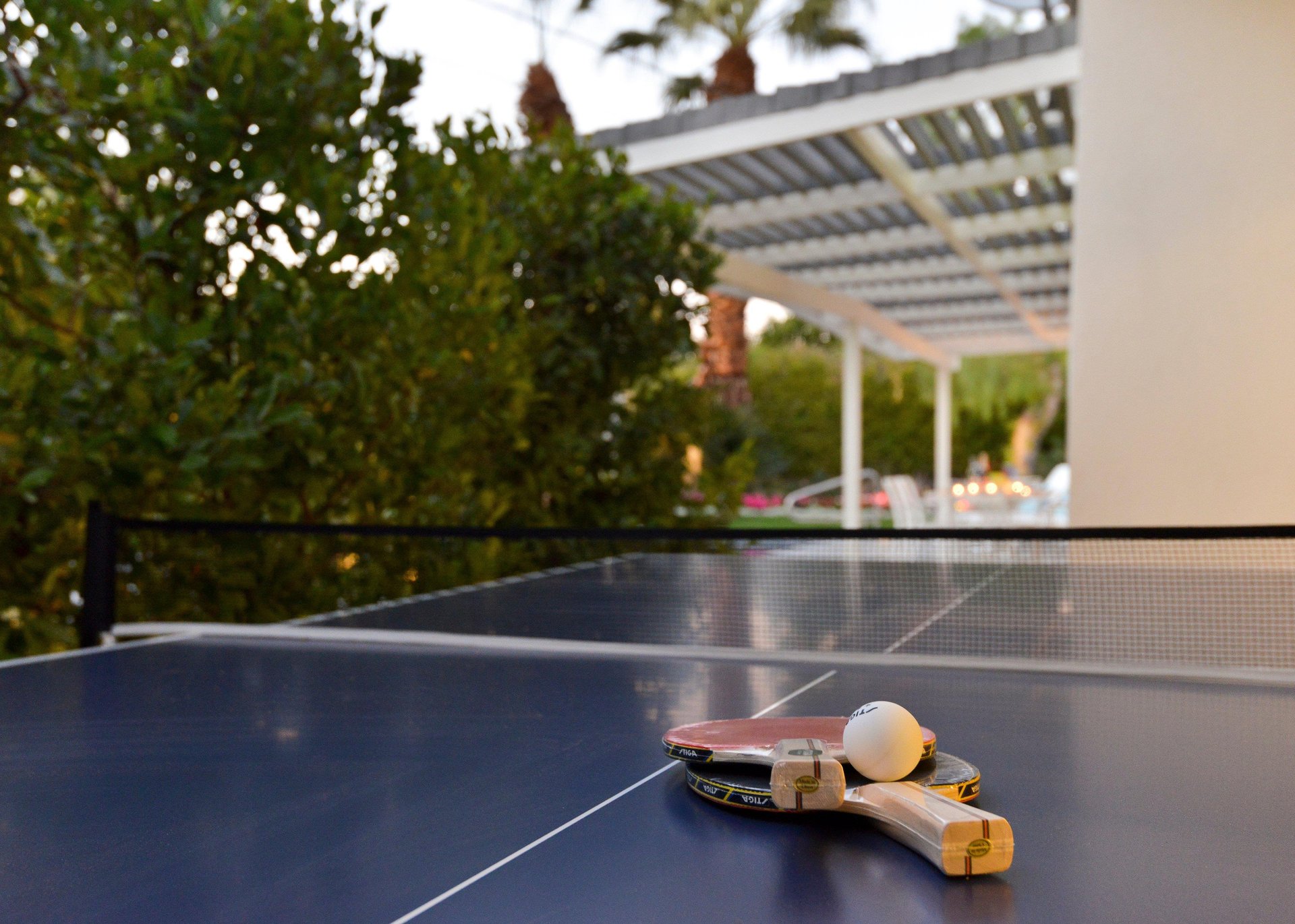 Play a game of ping pong