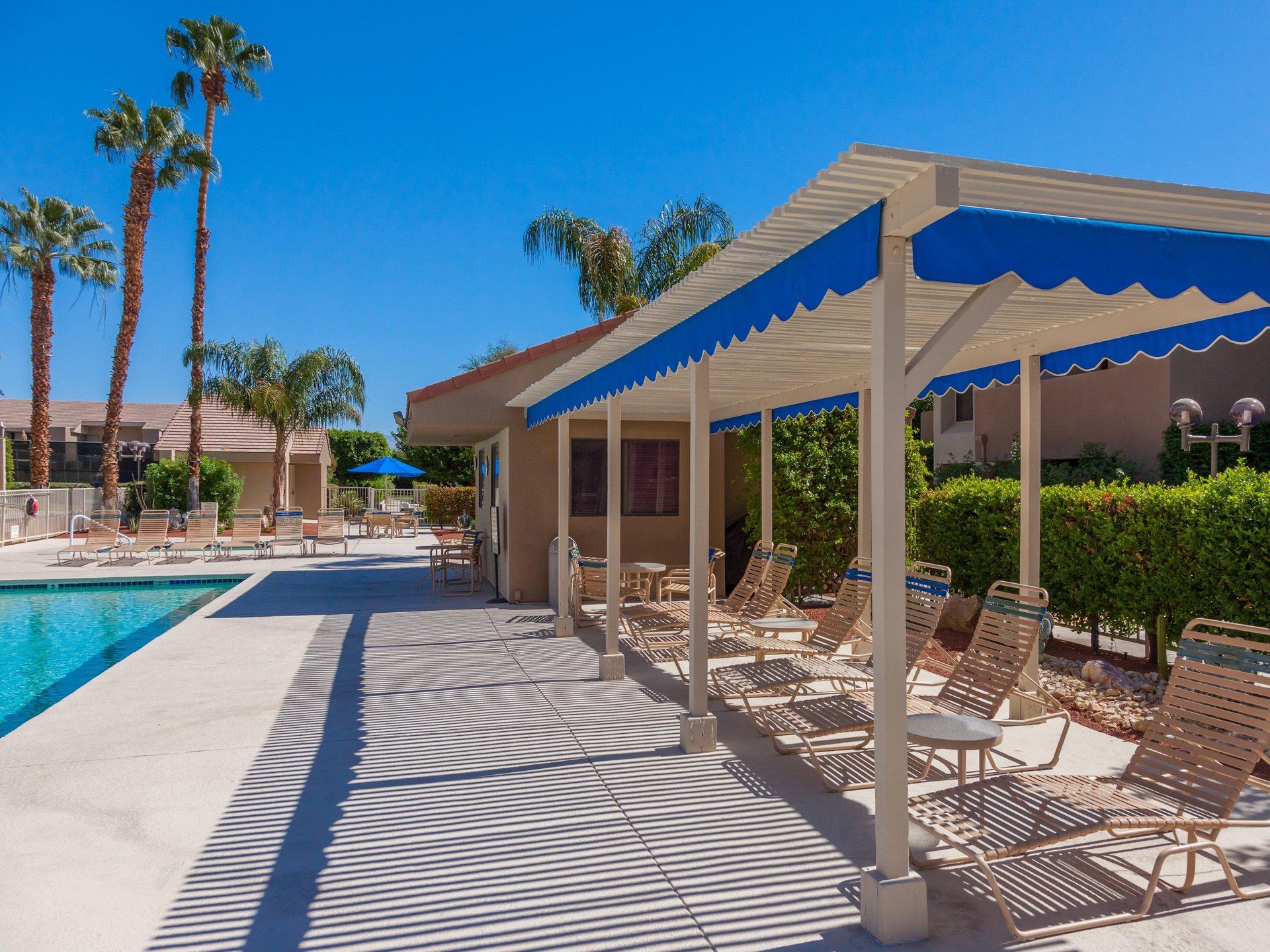 Recline by the Pool