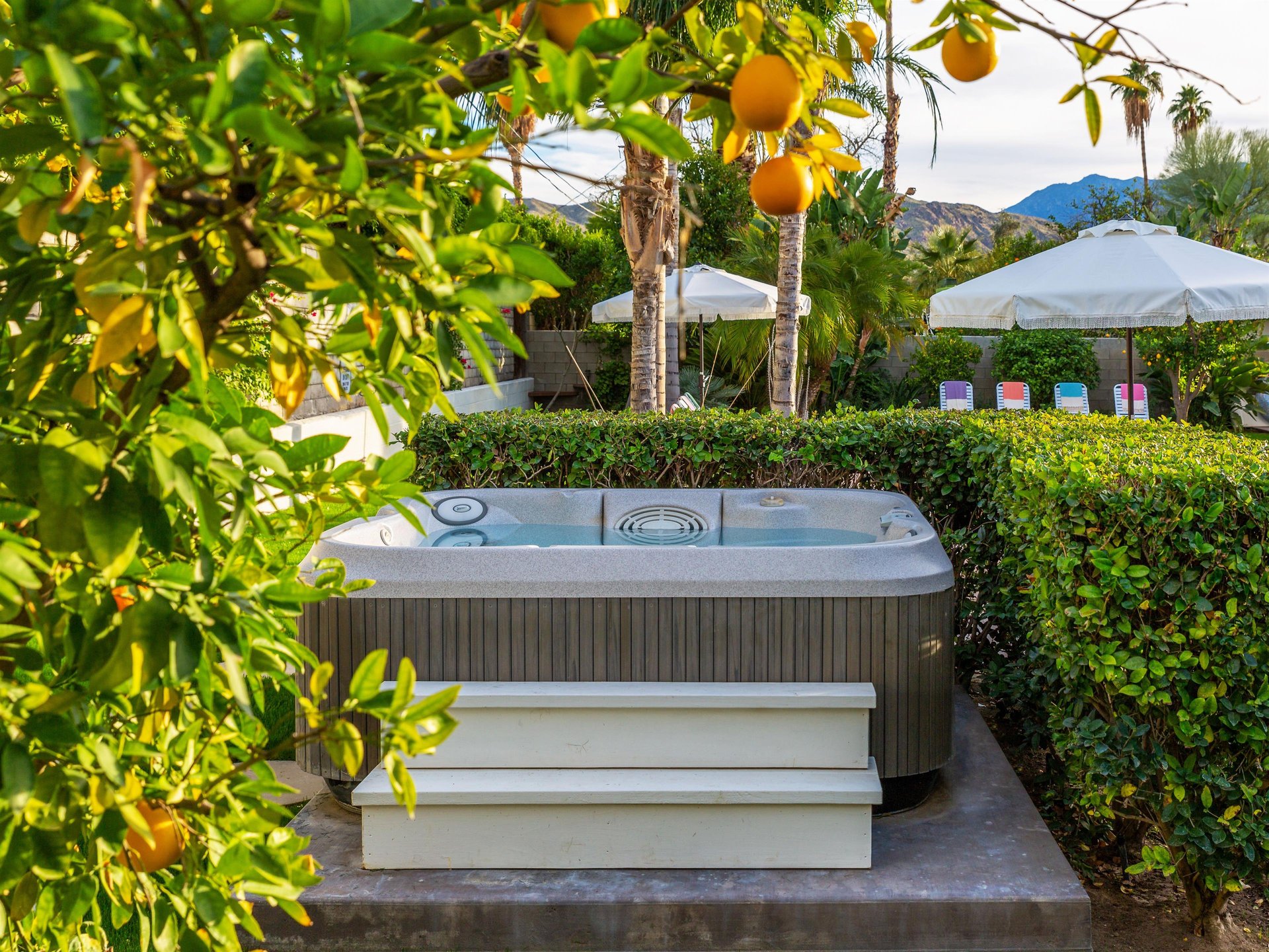 The perfect Palm Springs getaway