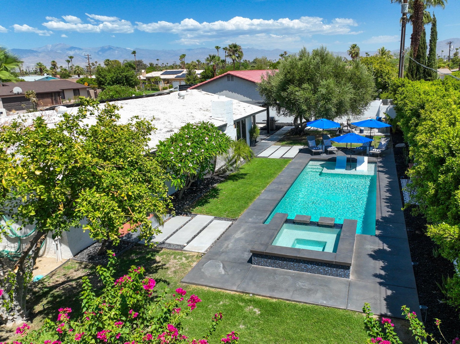 Beautiful backyard
