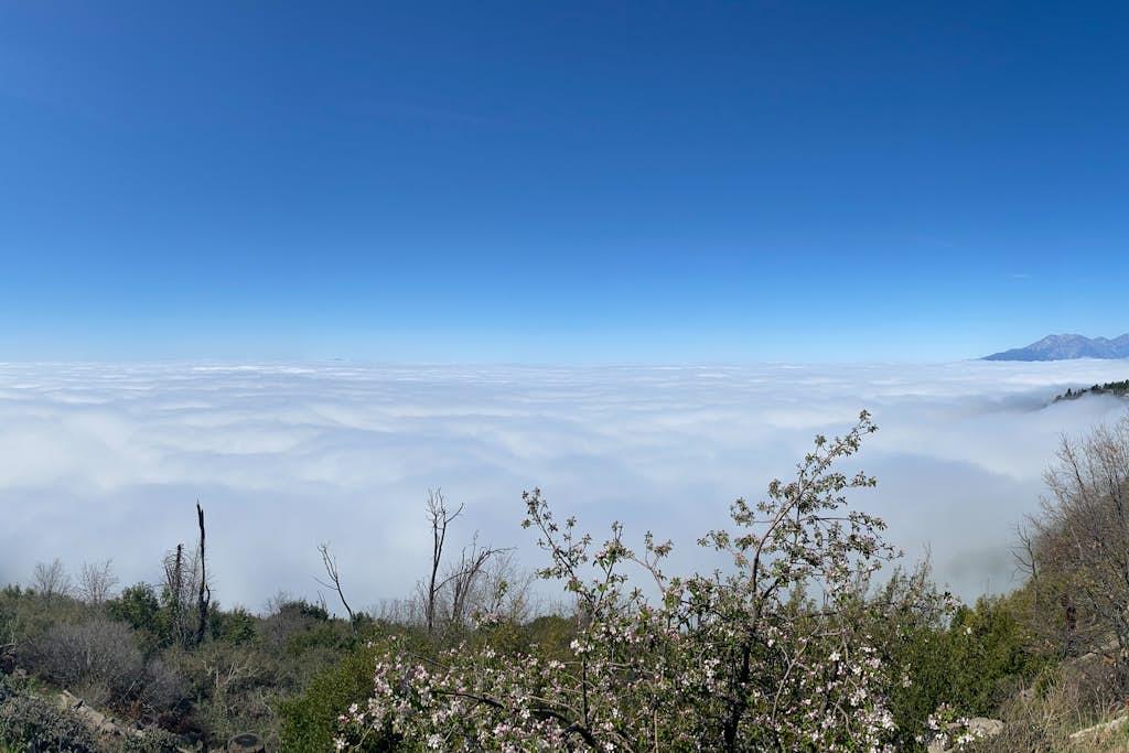 The elevations lets you experience life above the clouds