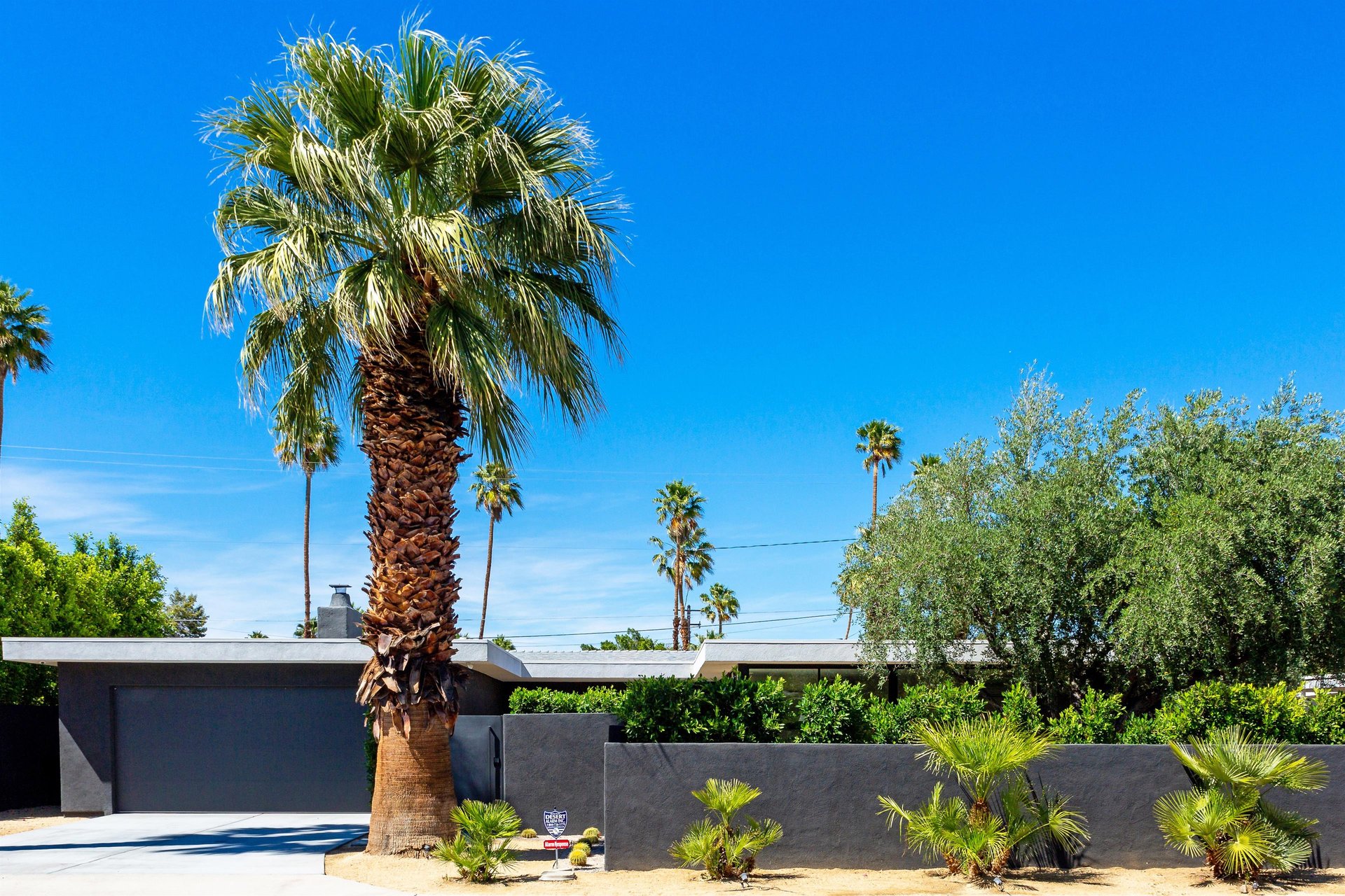 Palm Springs