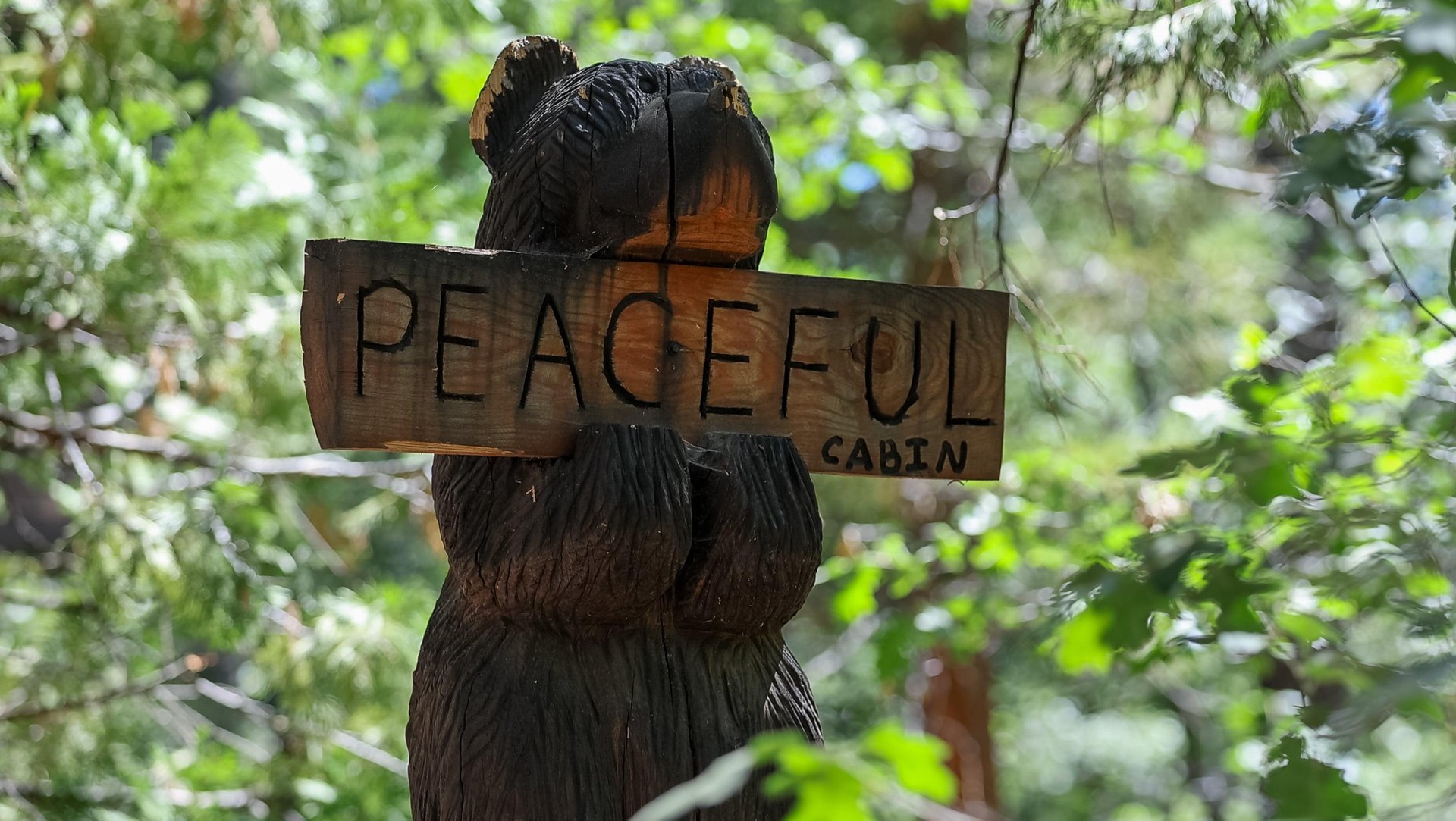 The Peaceful Cabin, your home away from home