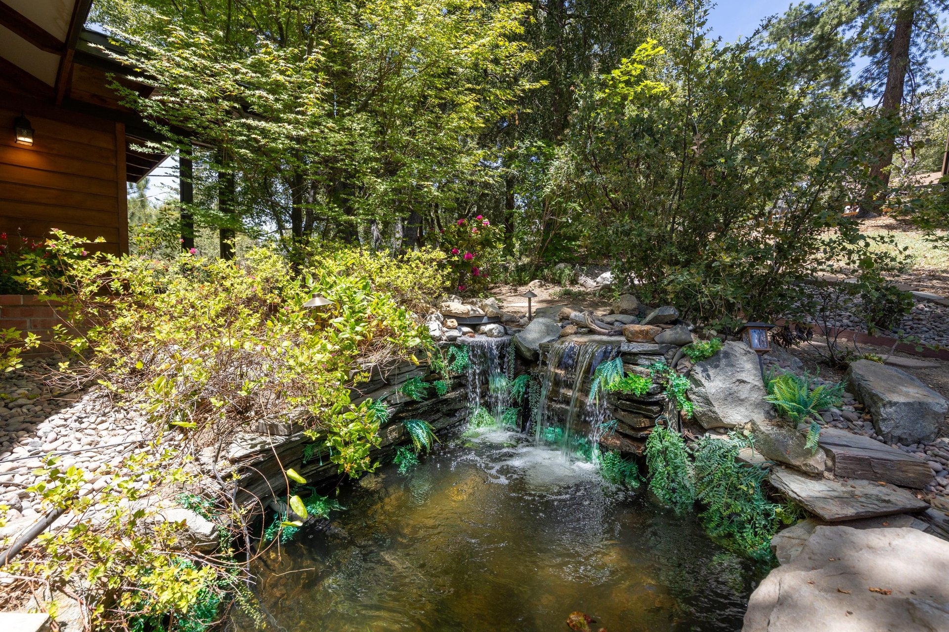 Koi pond with two waterfalls off the deck.