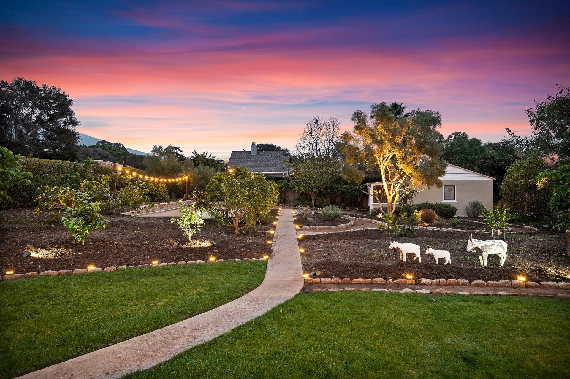 Backyard Twilight
