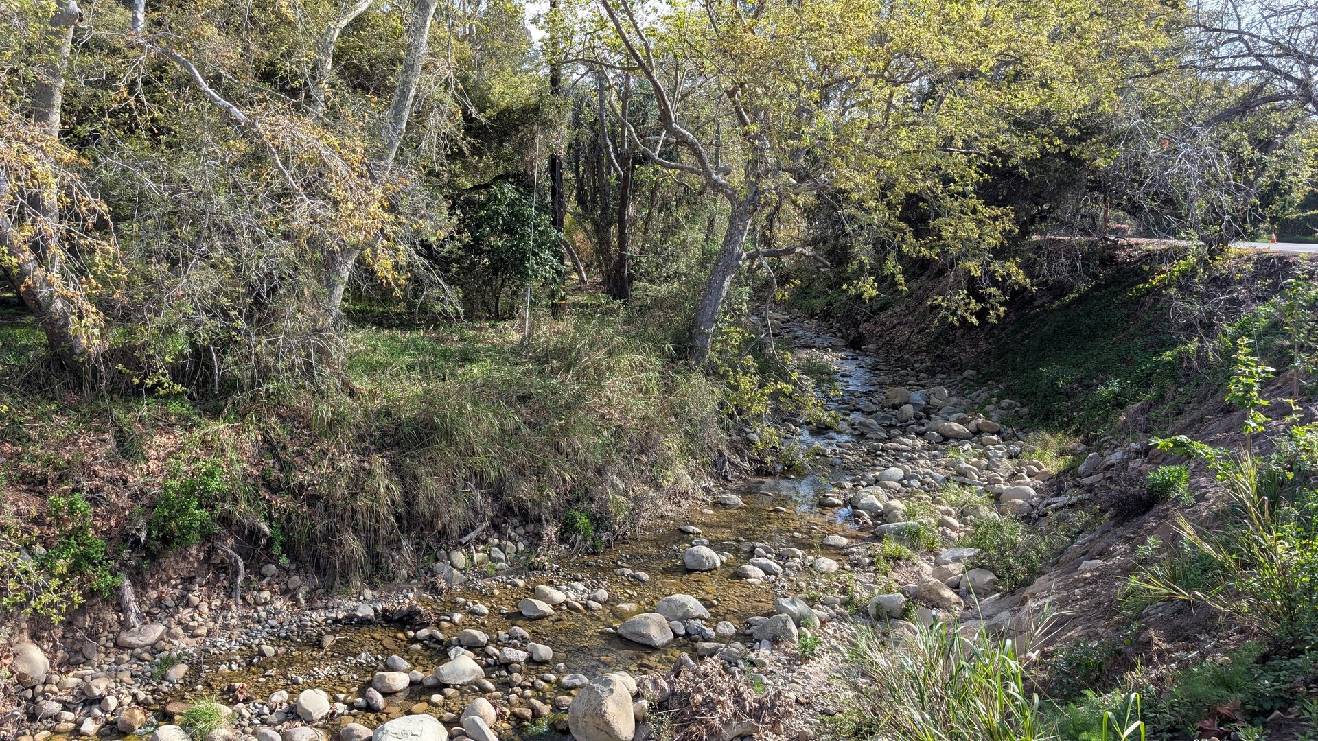 Creek