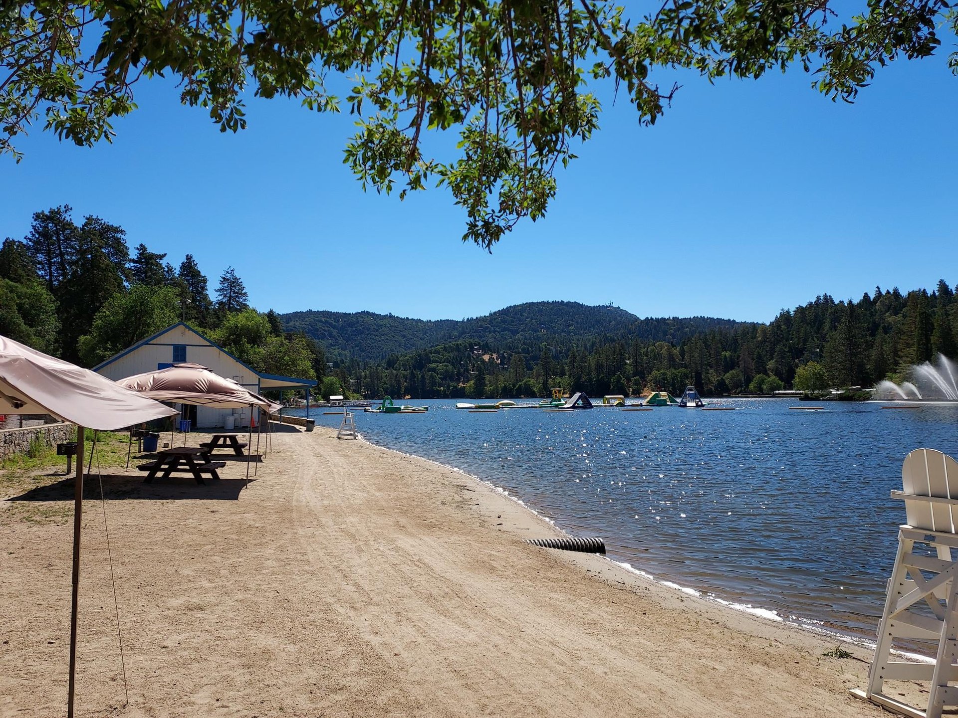 Views of the lake.
