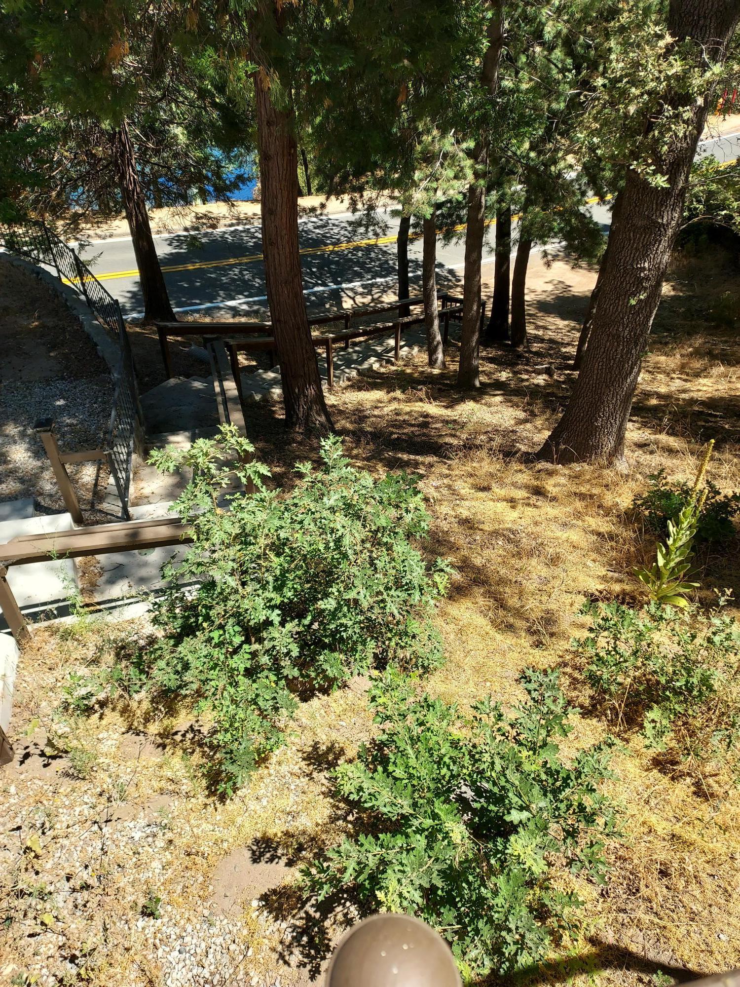 Additional view of stairs leading down to the street.