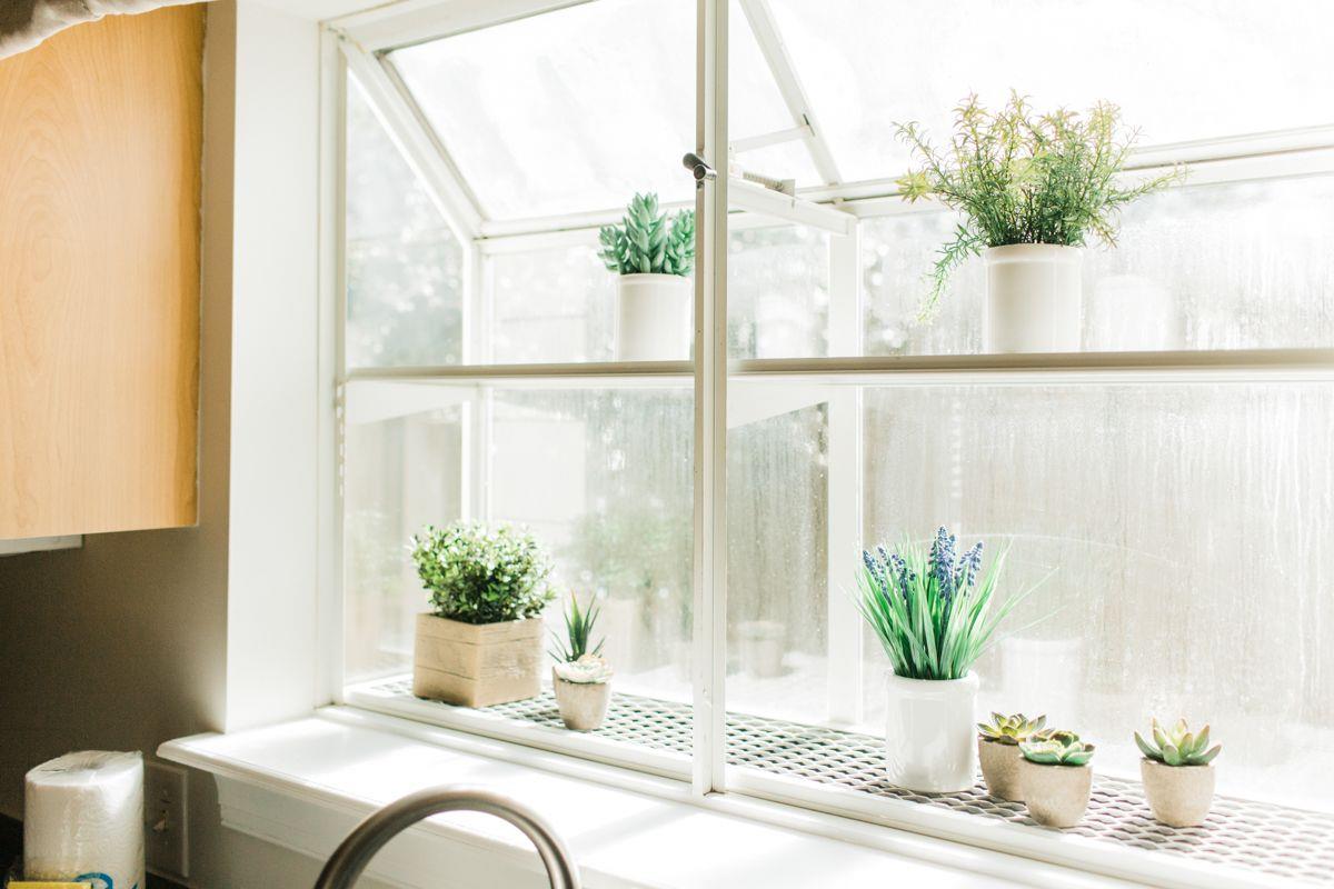 Let your indoor plants, or herbs, bask in the sun.
