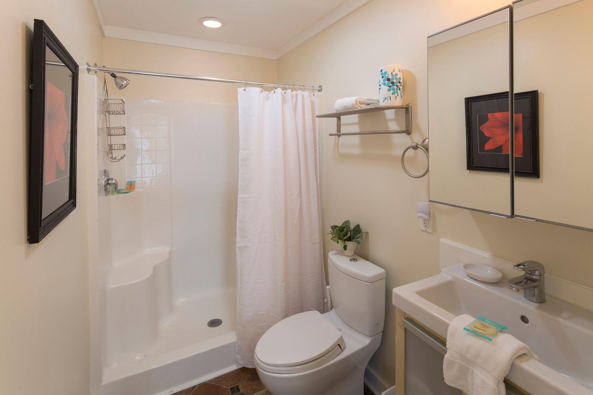 A full size bathroom fitted with a walkin shower, and spacious vanity.