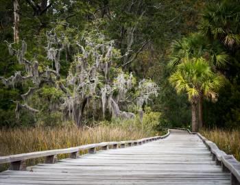 gettyimages636044466 gettyimages636044466