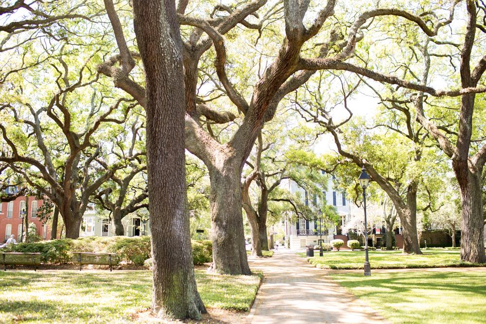 Nearby Pulaski Square is the perfect place to perch.