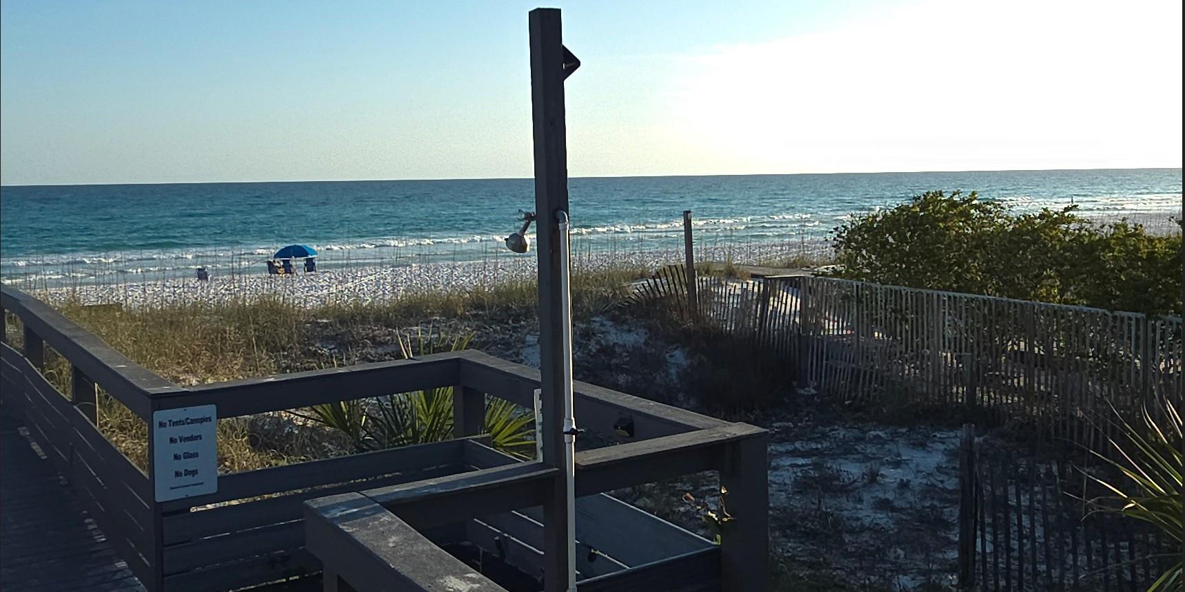19996