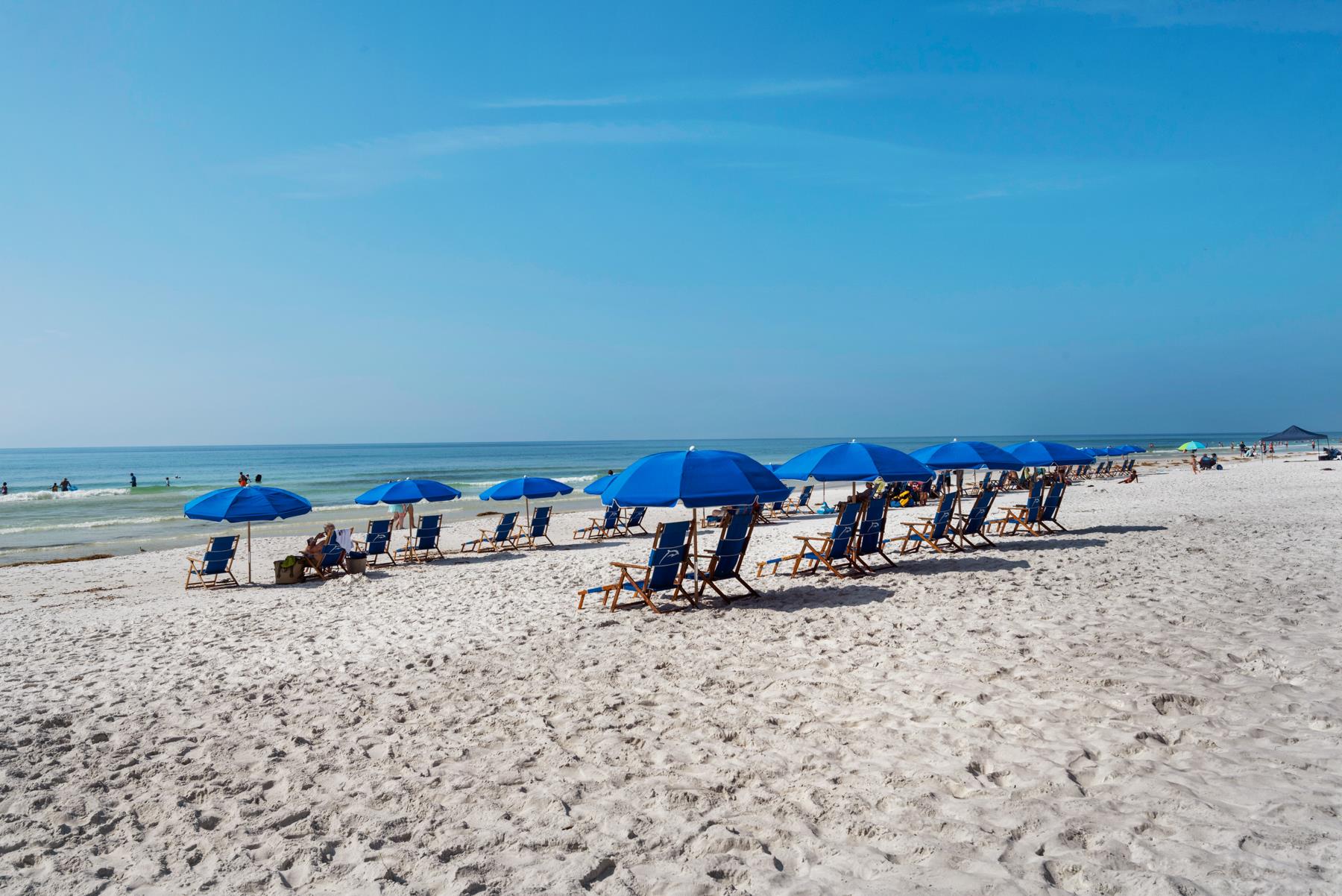 20426