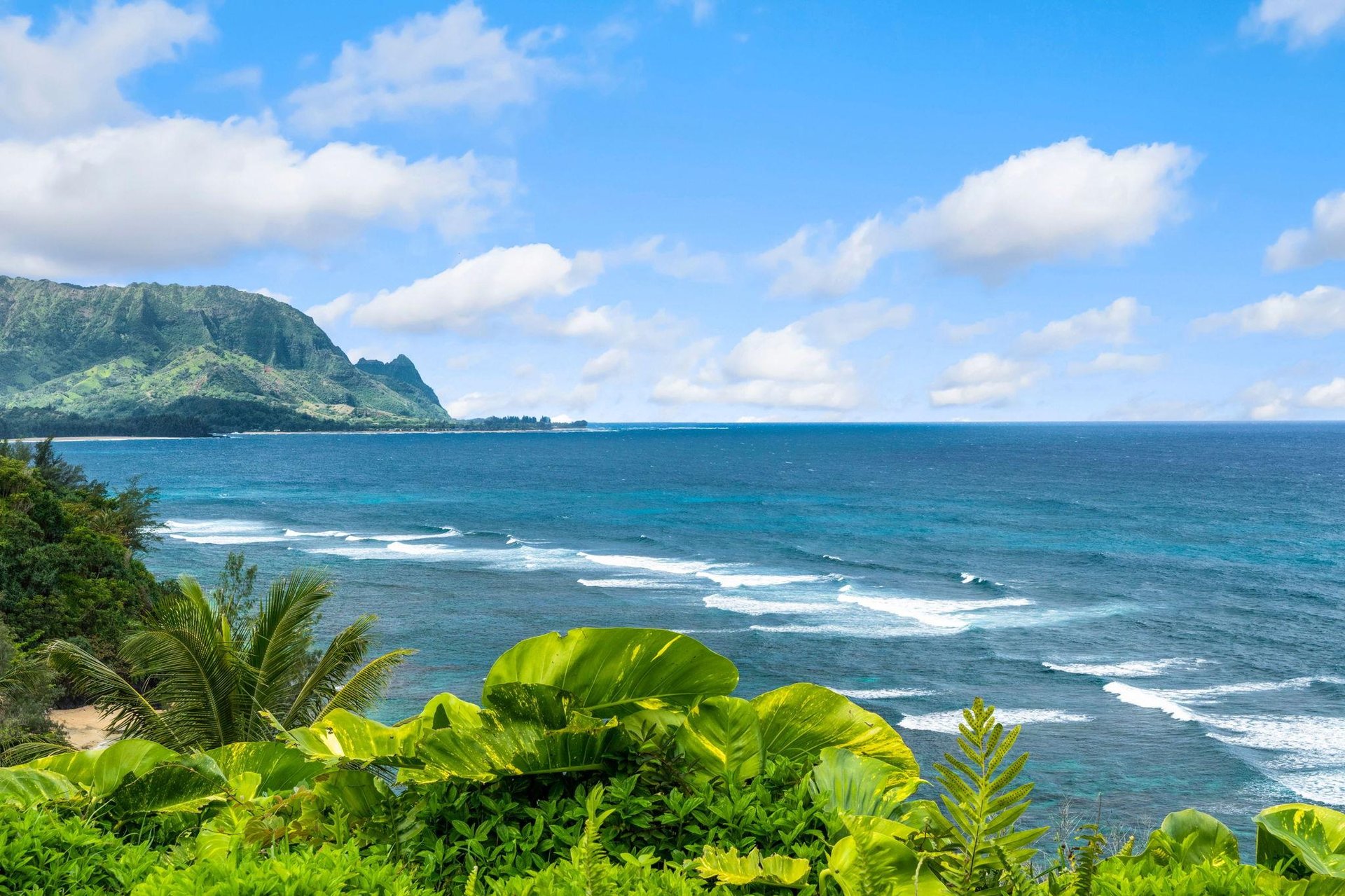 Watch surfers catch some waves